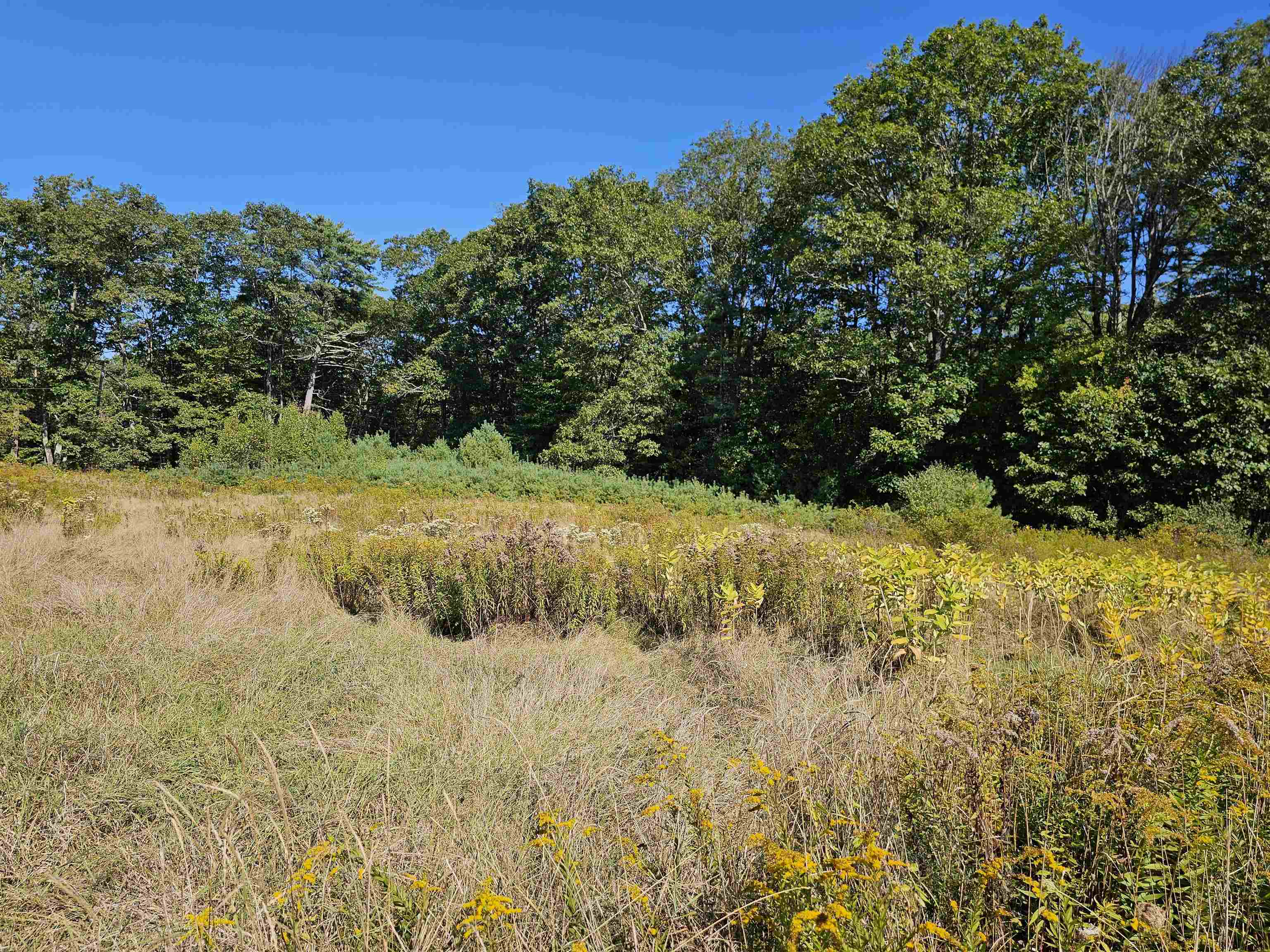 MLS #5061438 image #13