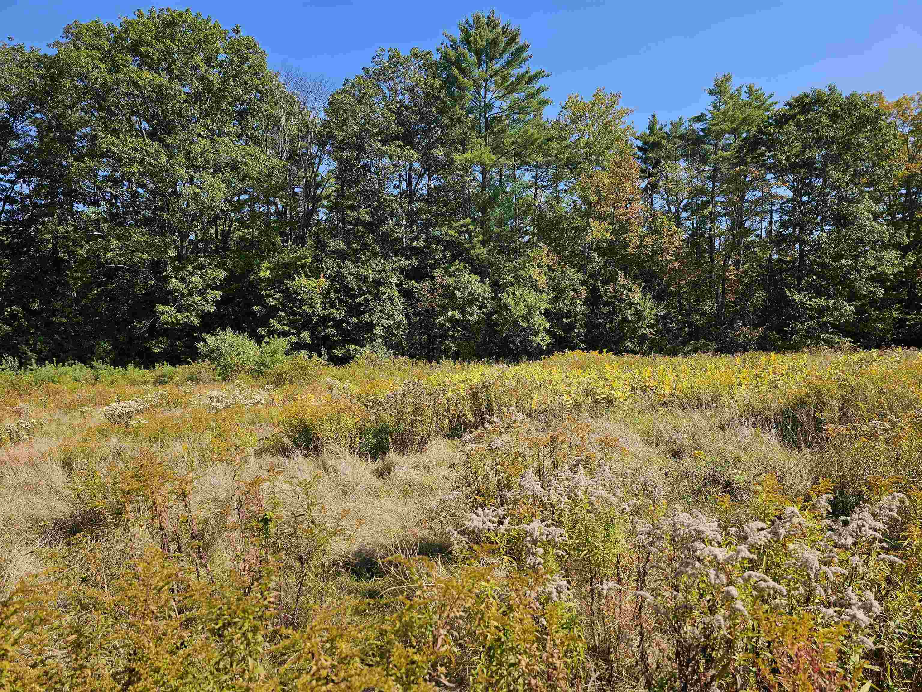 MLS #5061438 image #15