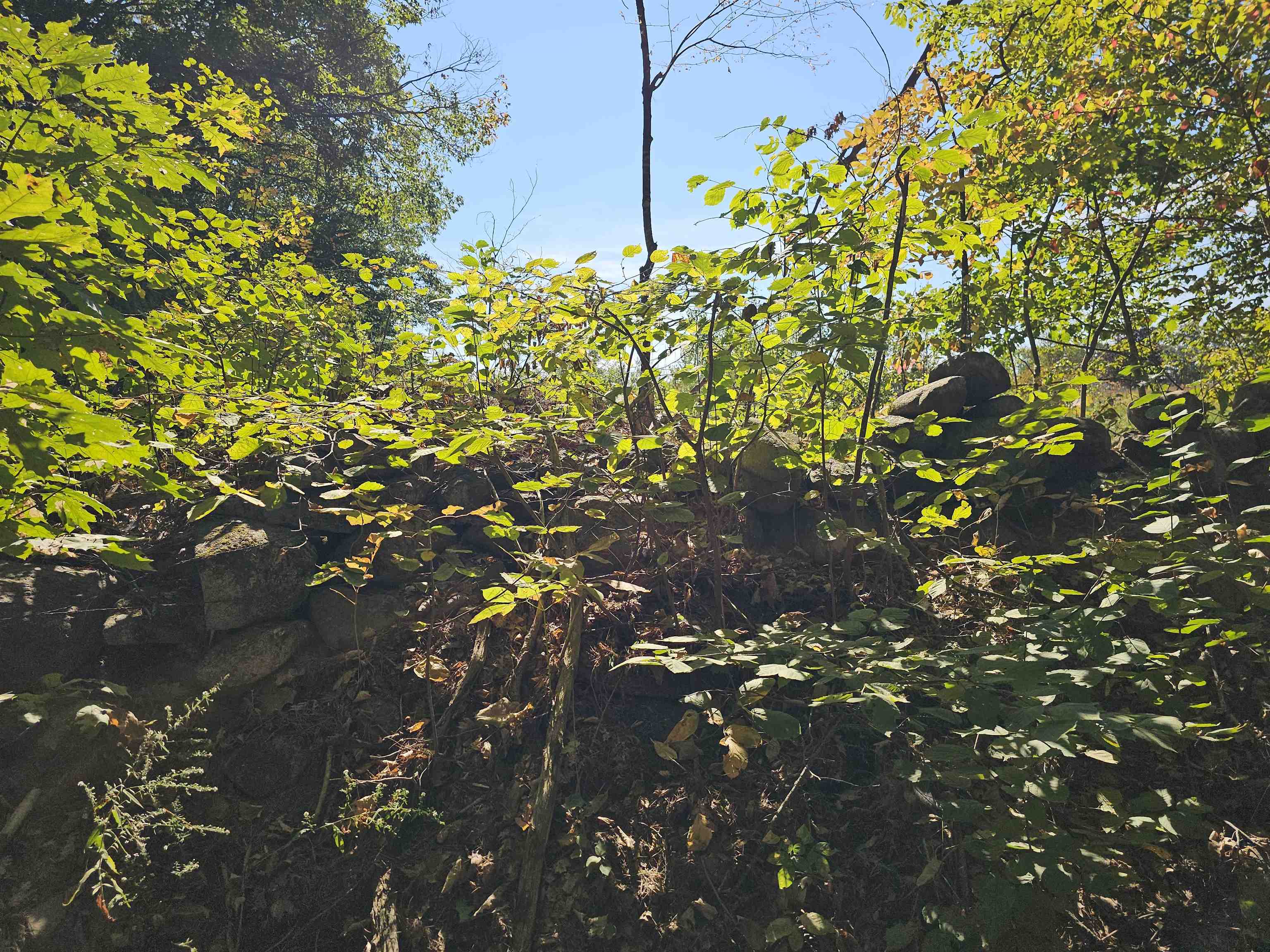 MLS #5061438 image #16