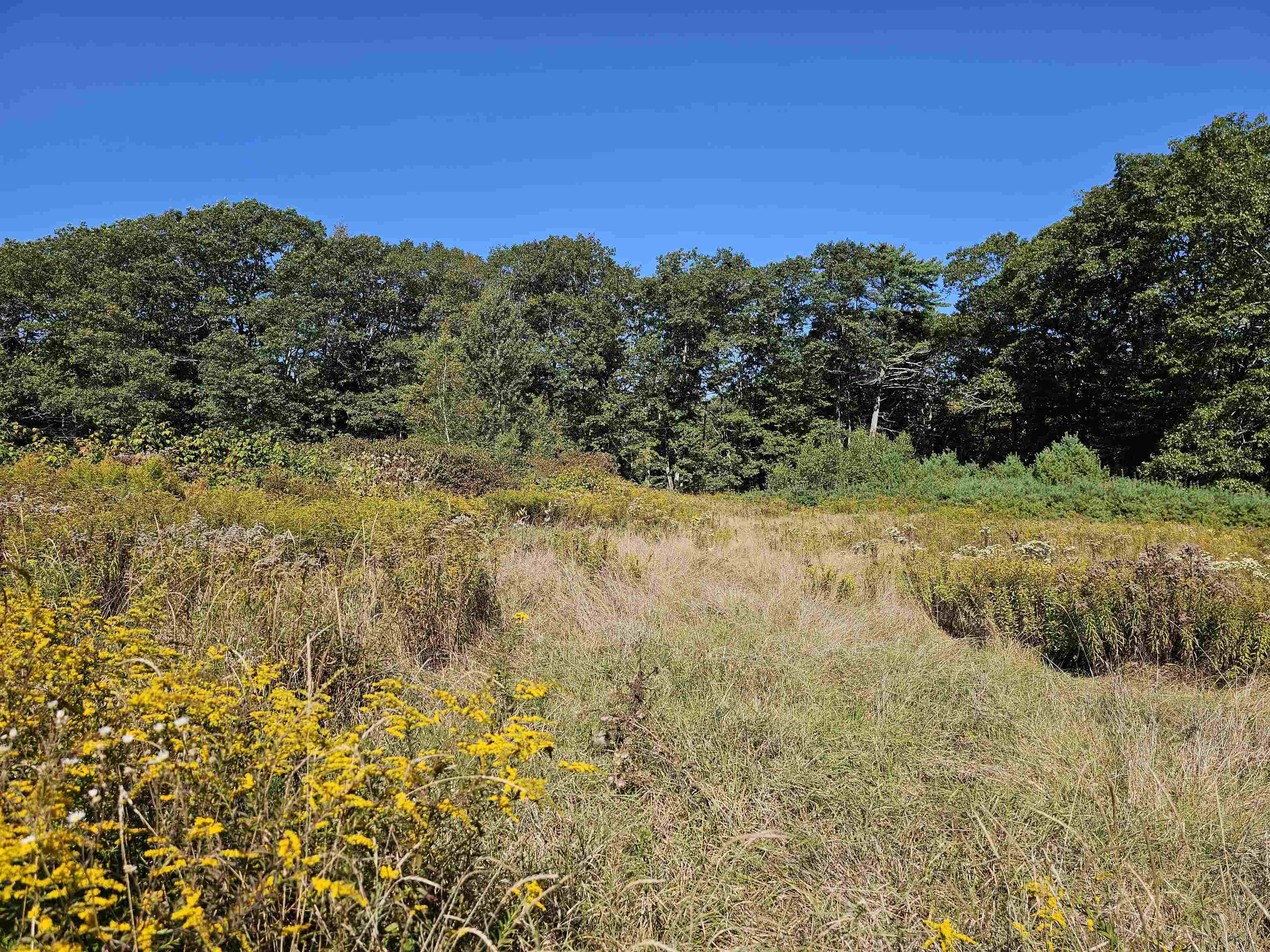 MLS #5061438 image #2