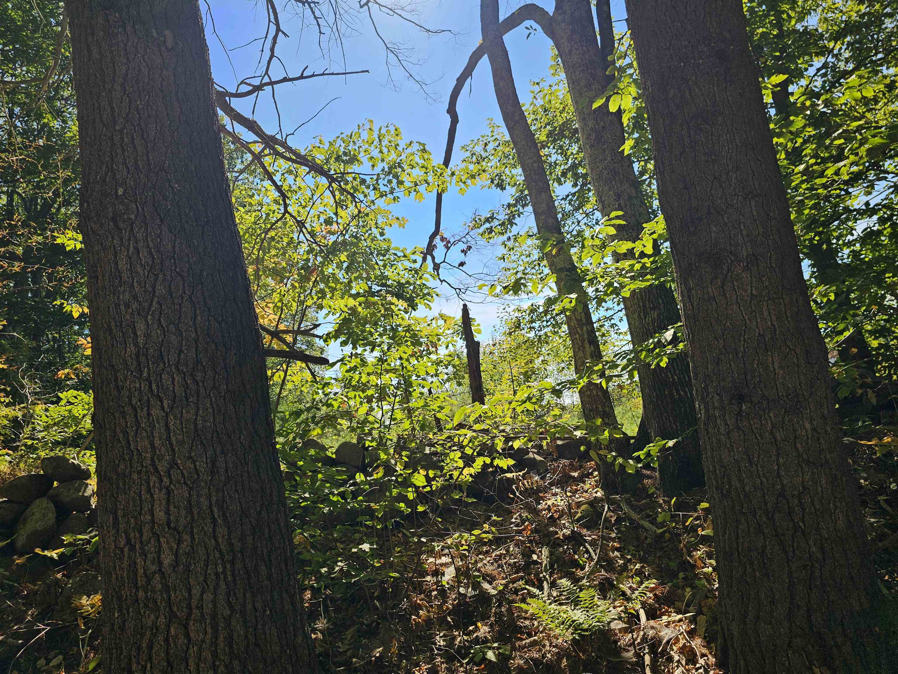 MLS #5061438 image #20