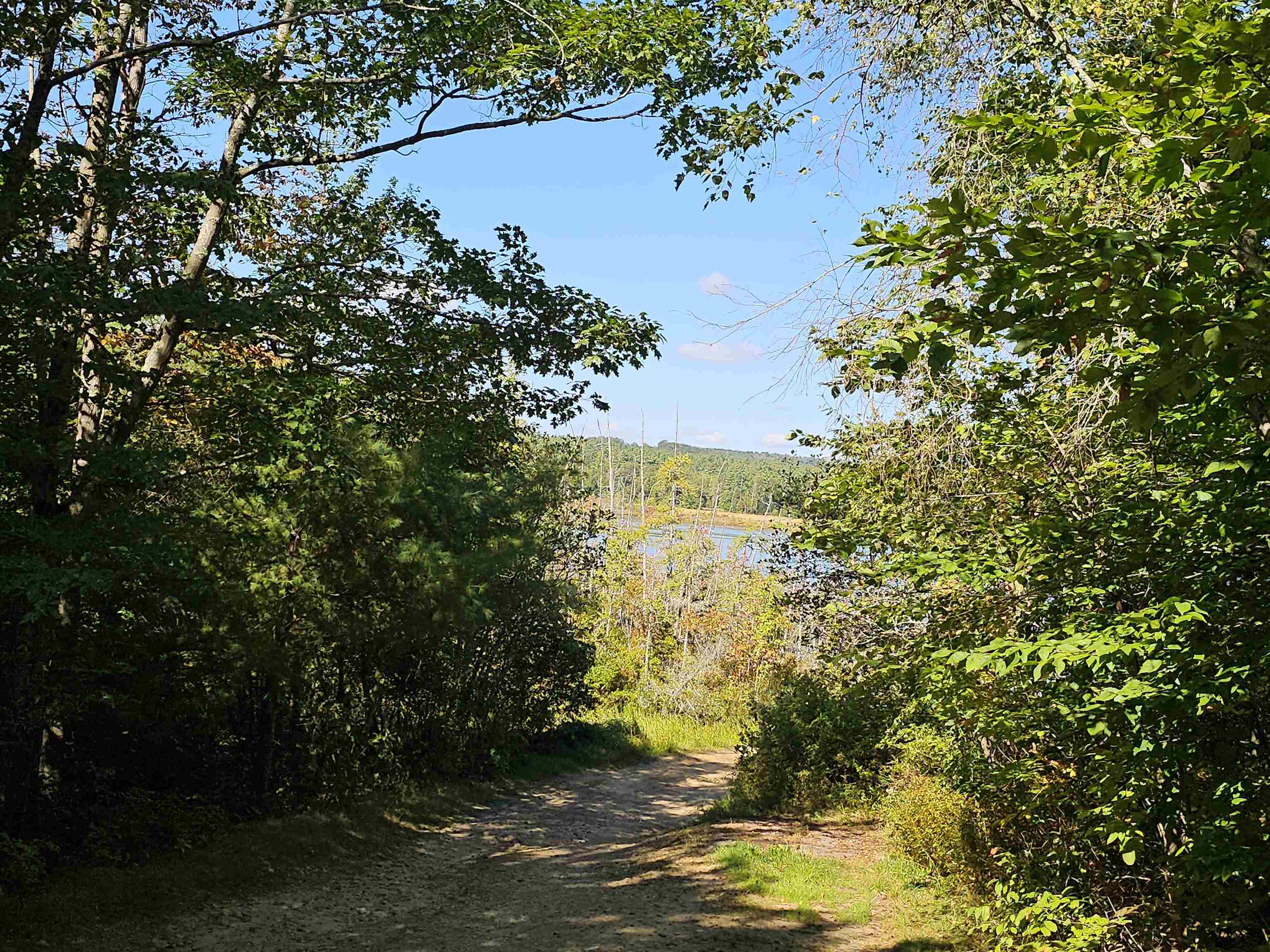 MLS #5061438 image #29