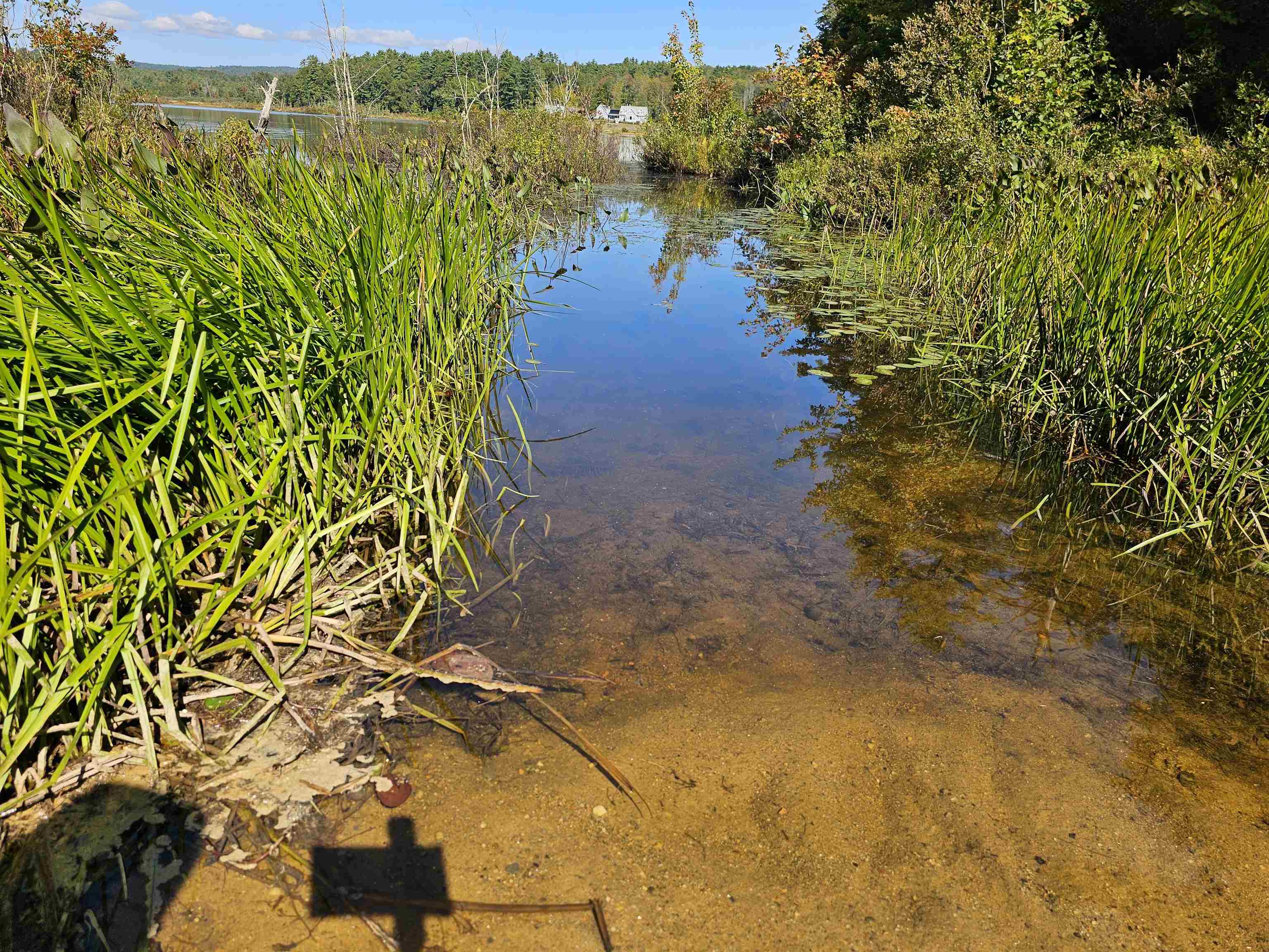 MLS #5061438 image #36