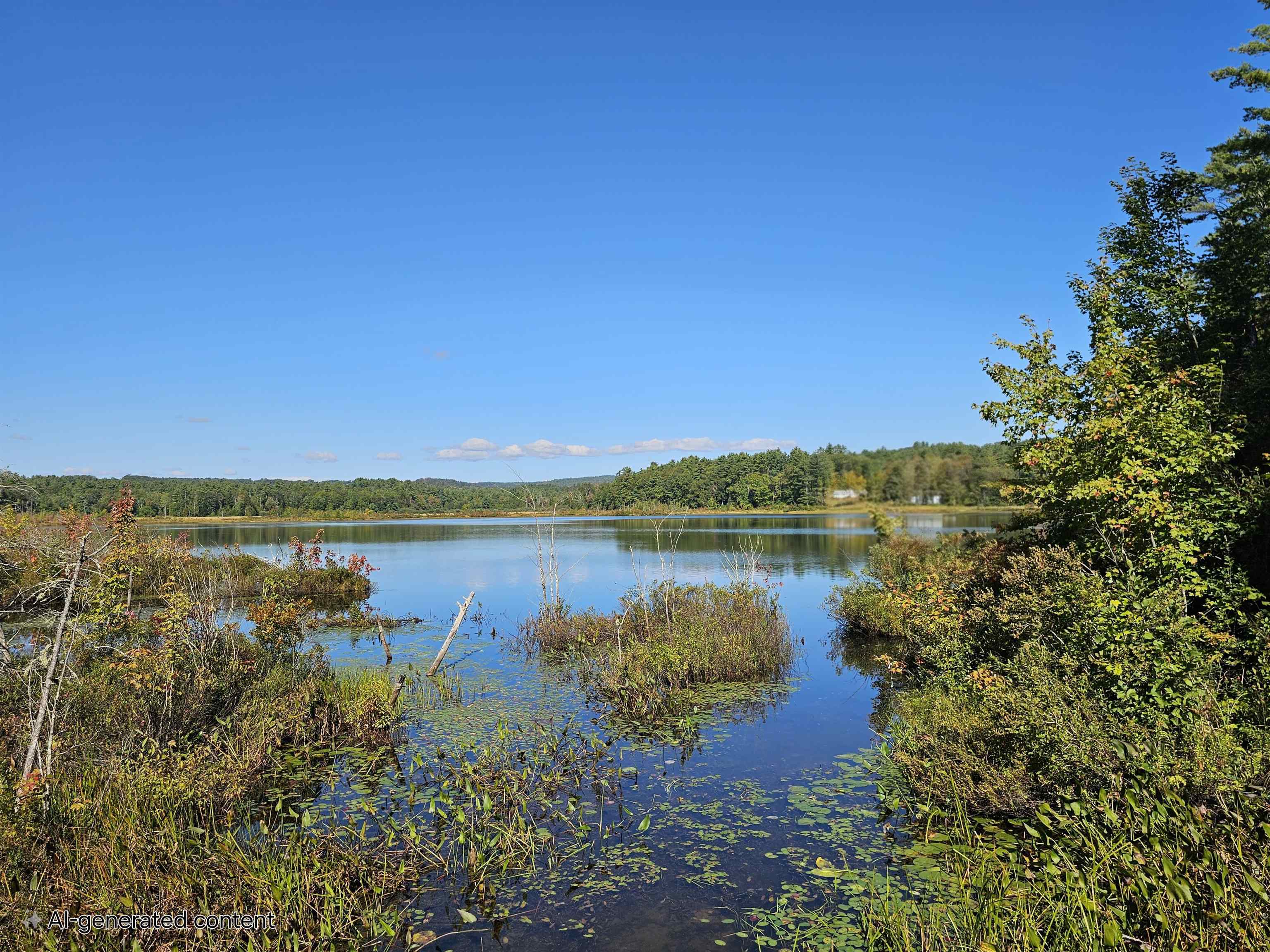 MLS #5061438 image #37