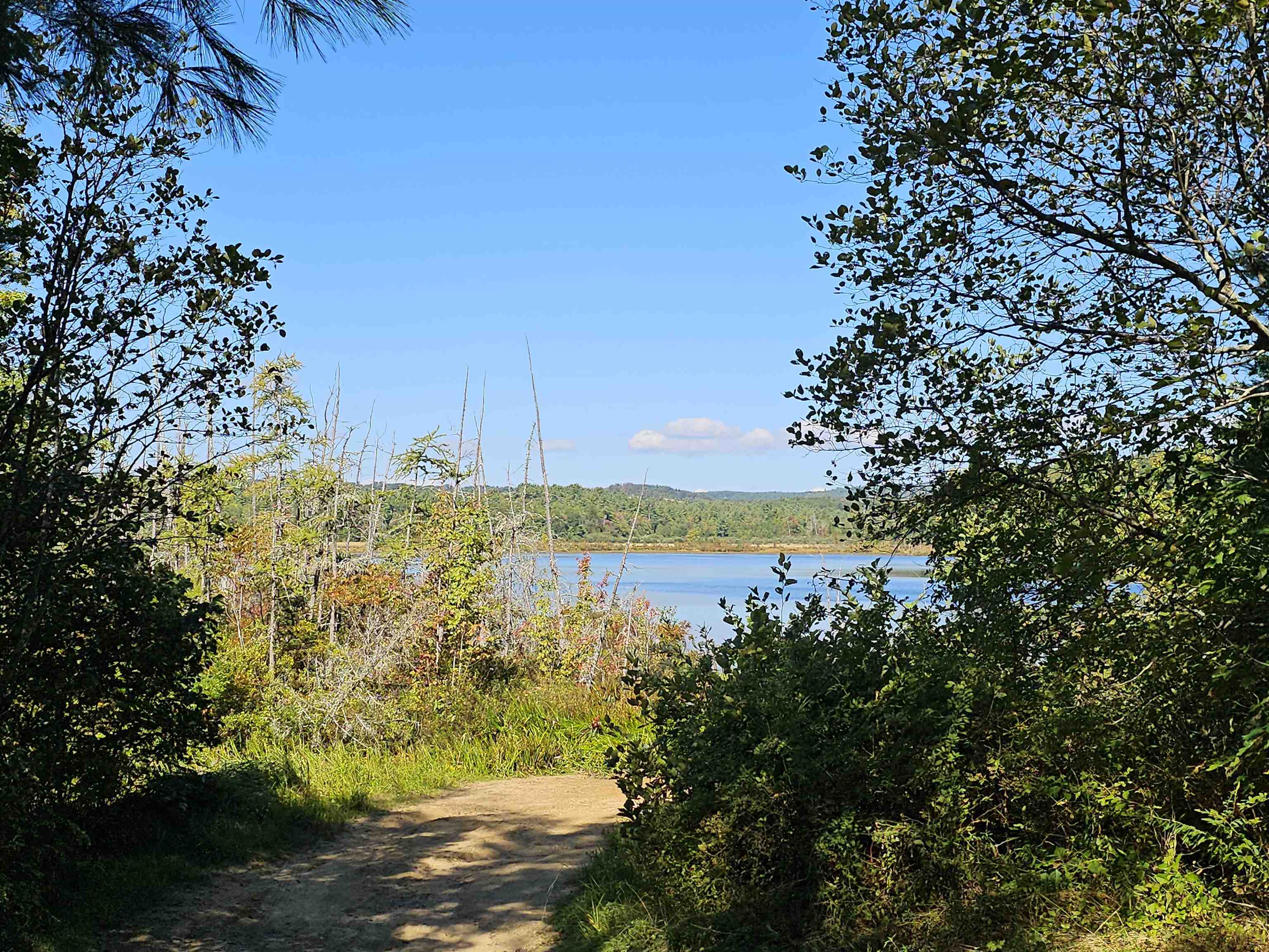 MLS #5061438 image #38