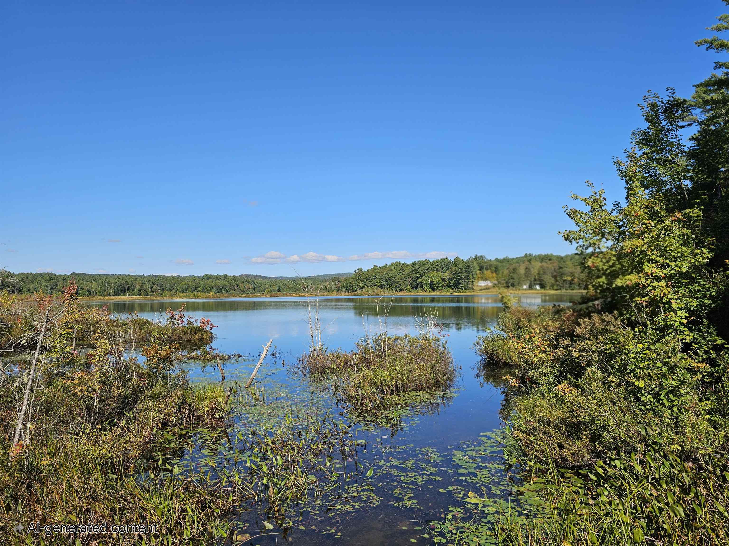 MLS #5061438 image #39