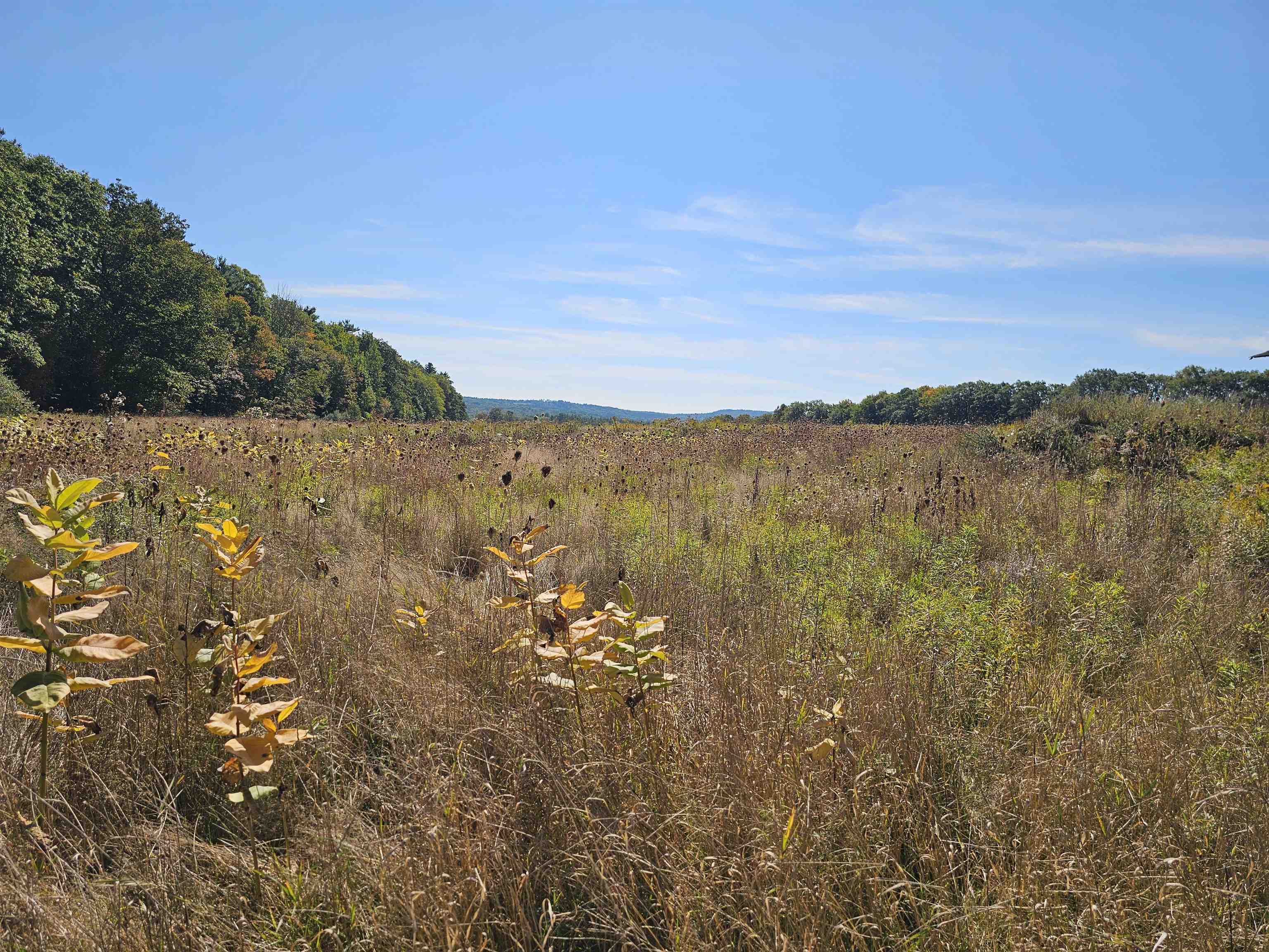 MLS #5061438 image #4