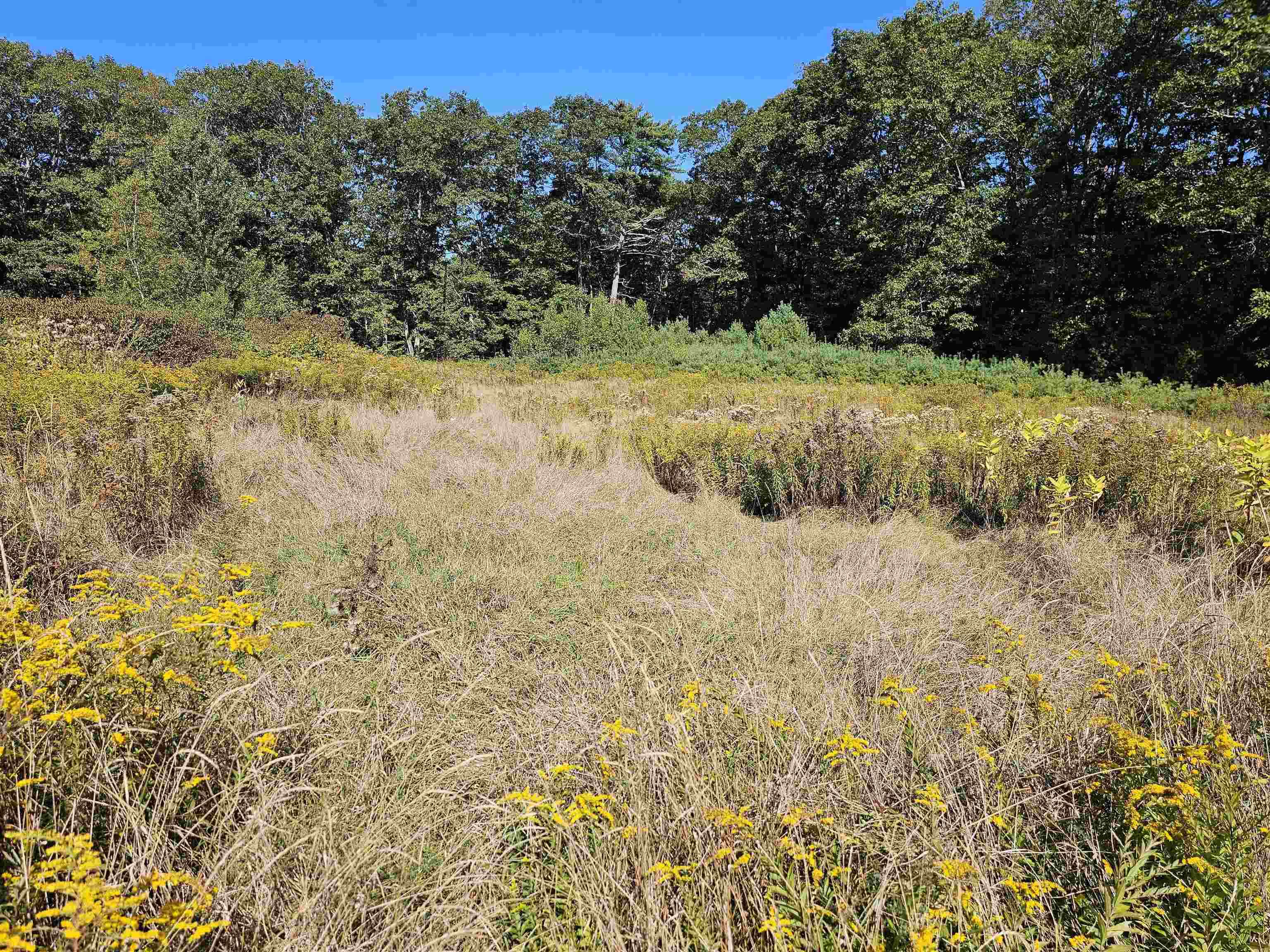 MLS #5061438 image #6