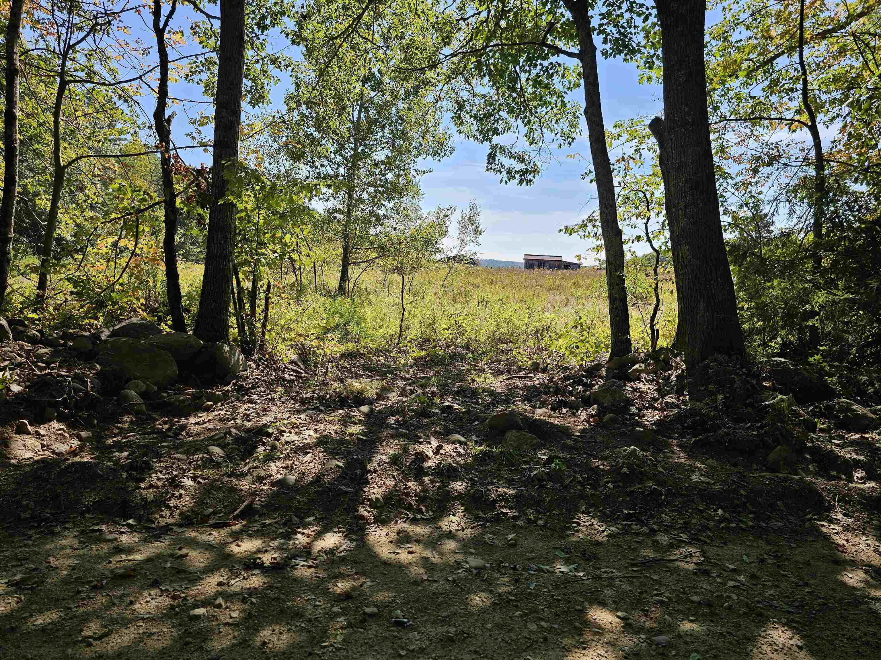 MLS #5061438 image #7