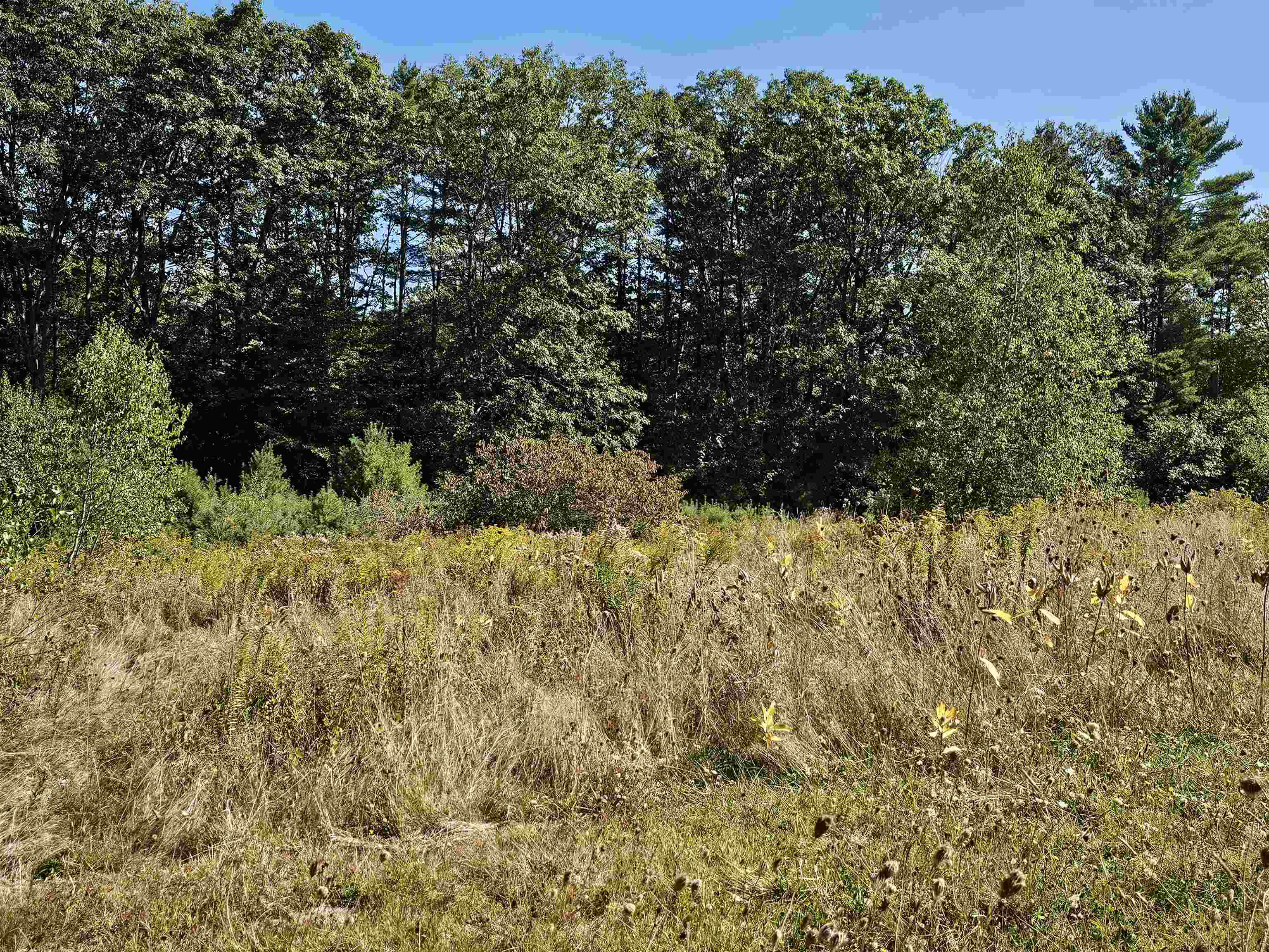 MLS #5061438 image #9