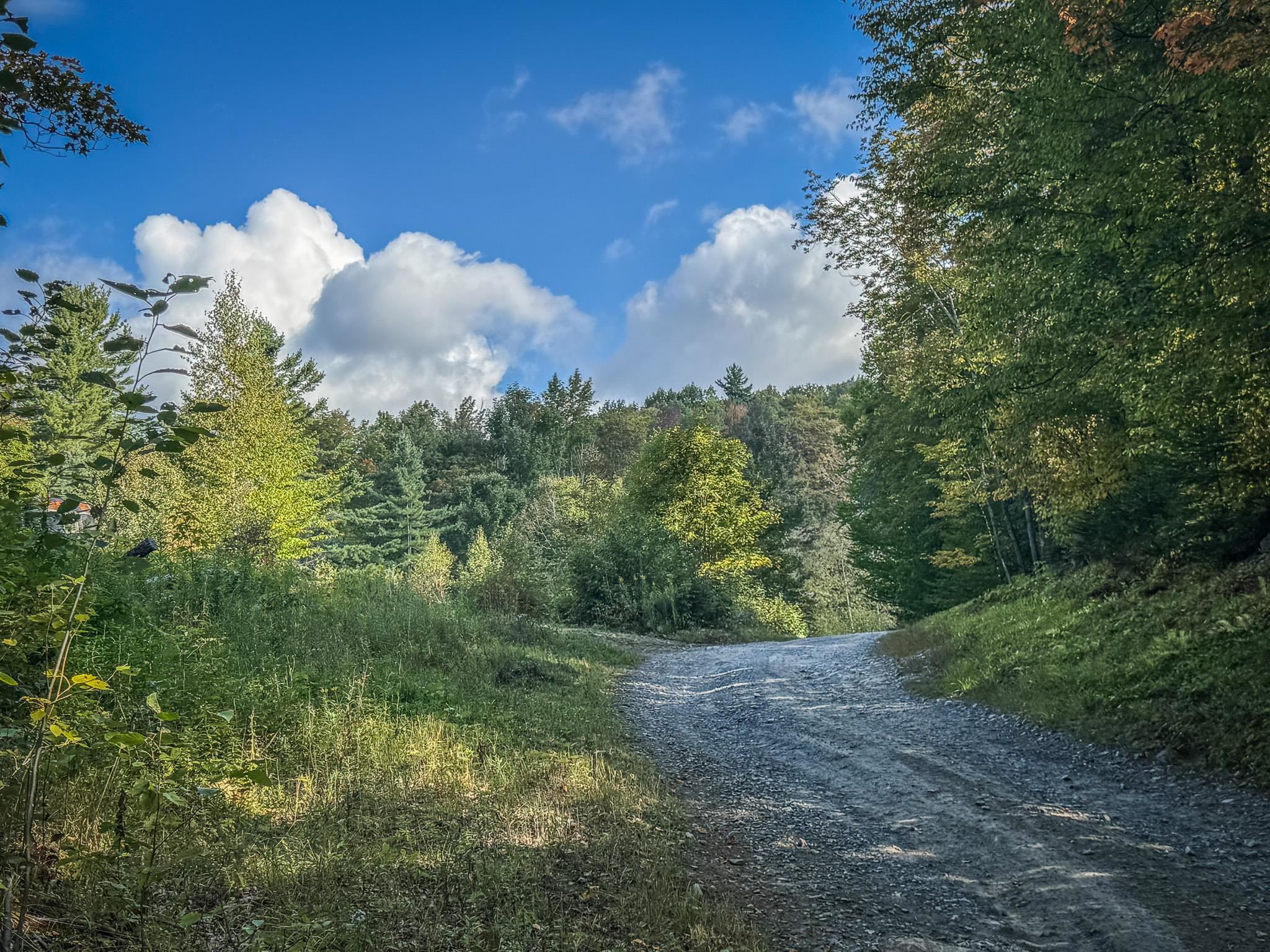 Homes for sale in Topsham, VT | 00 Peterson Rd, Topsham, VT 05076 | MLS# 5061466