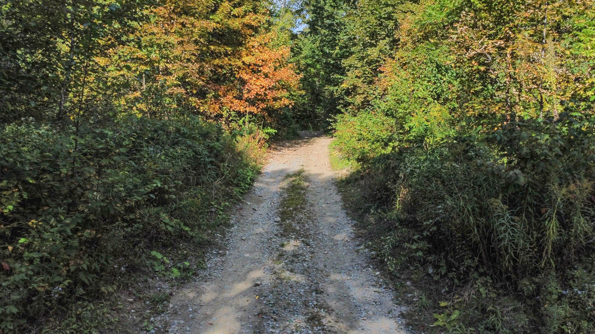 Homes for sale in Topsham, VT | 00 Peterson Rd, Topsham, VT 05076 | MLS# 5061466