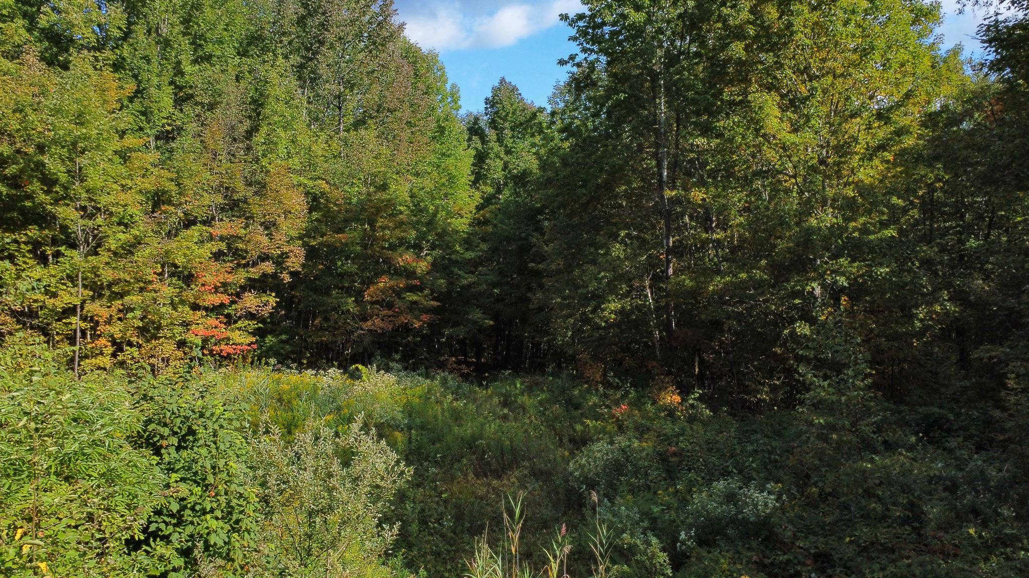 Homes for sale in Topsham, VT | 00 Peterson Rd, Topsham, VT 05076 | MLS# 5061466