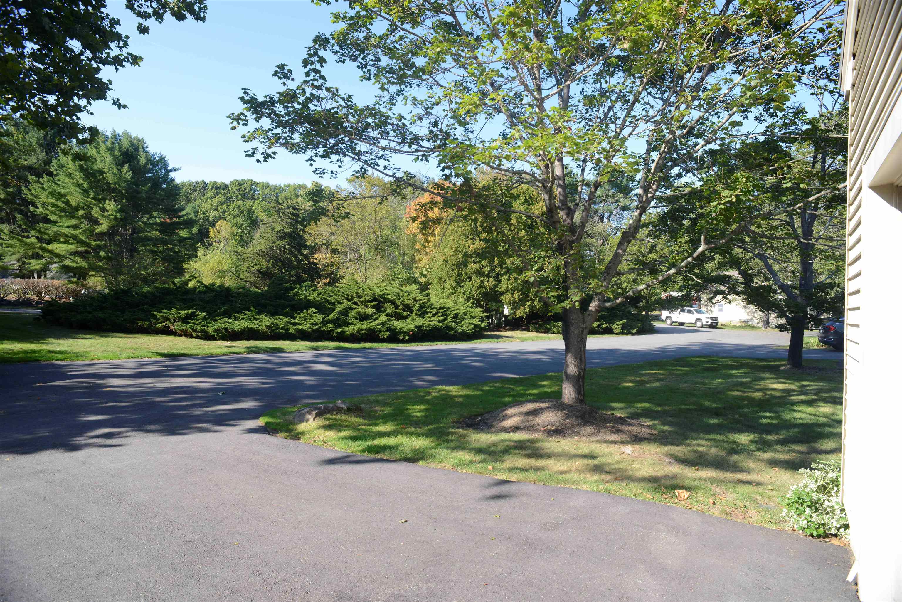 MLS #5061487 image #49