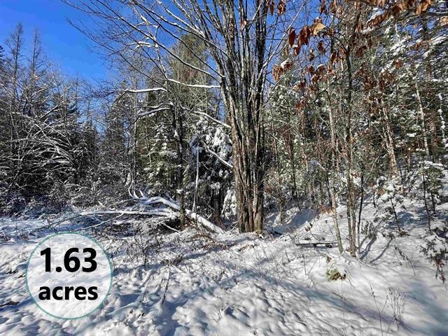 Homes for sale in Burke, VT | 00 Marshall Newland Rd, Burke, VT 05832 | MLS# 5061569