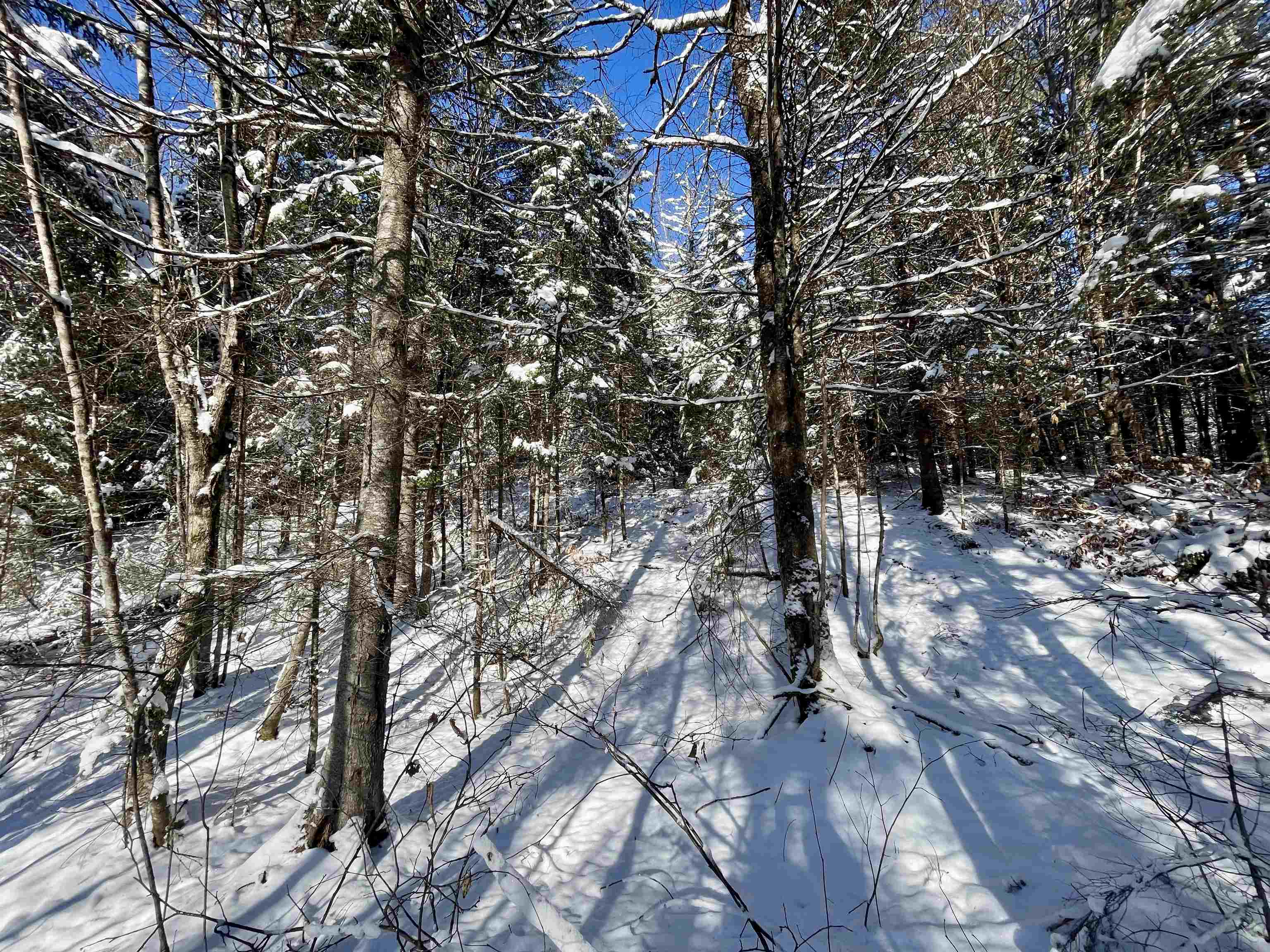 Homes for sale in Burke, VT | 00 Marshall Newland Rd, Burke, VT 05832 | MLS# 5061569