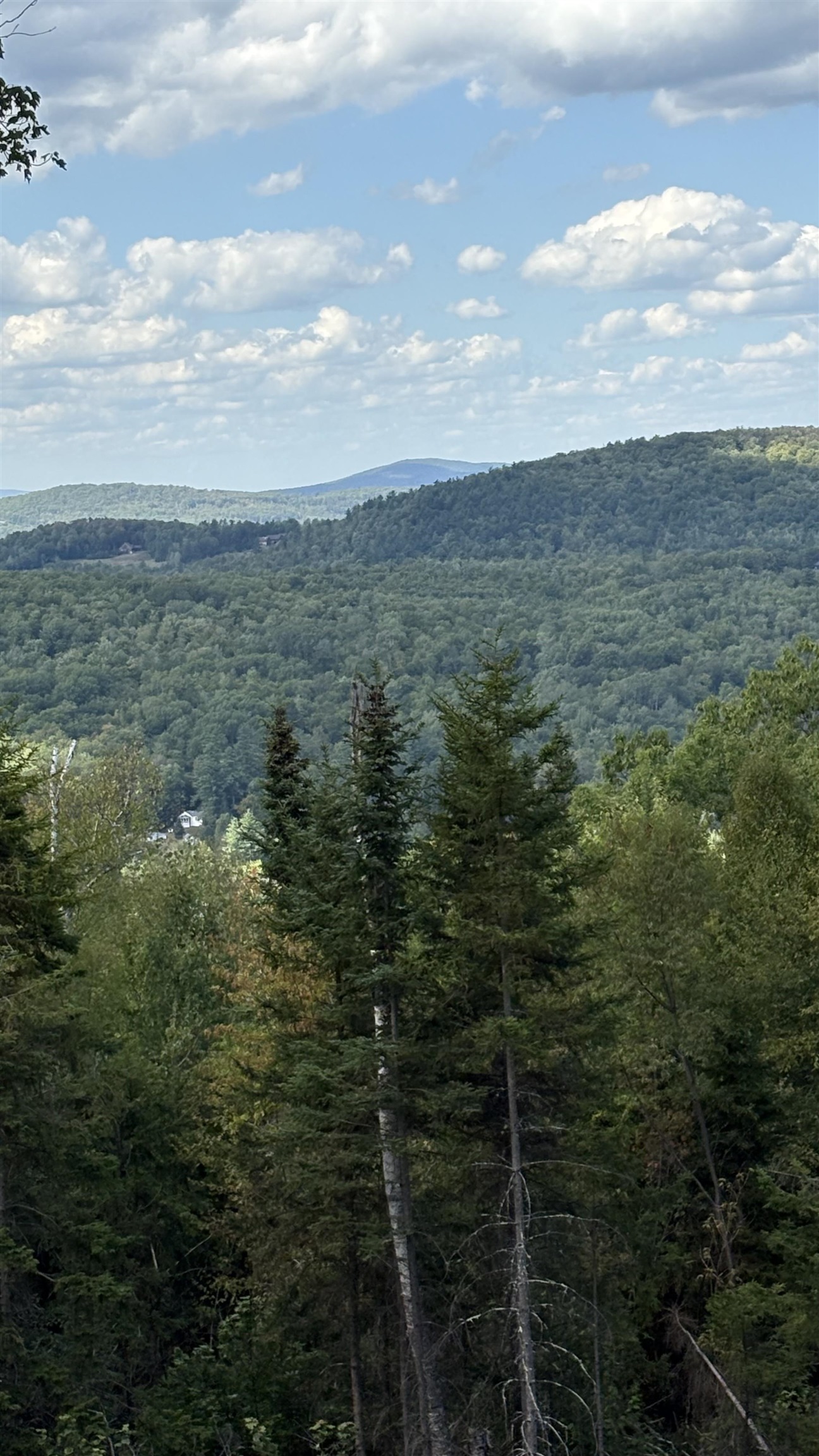 11 Summit Dr, Franconia, NH 03580