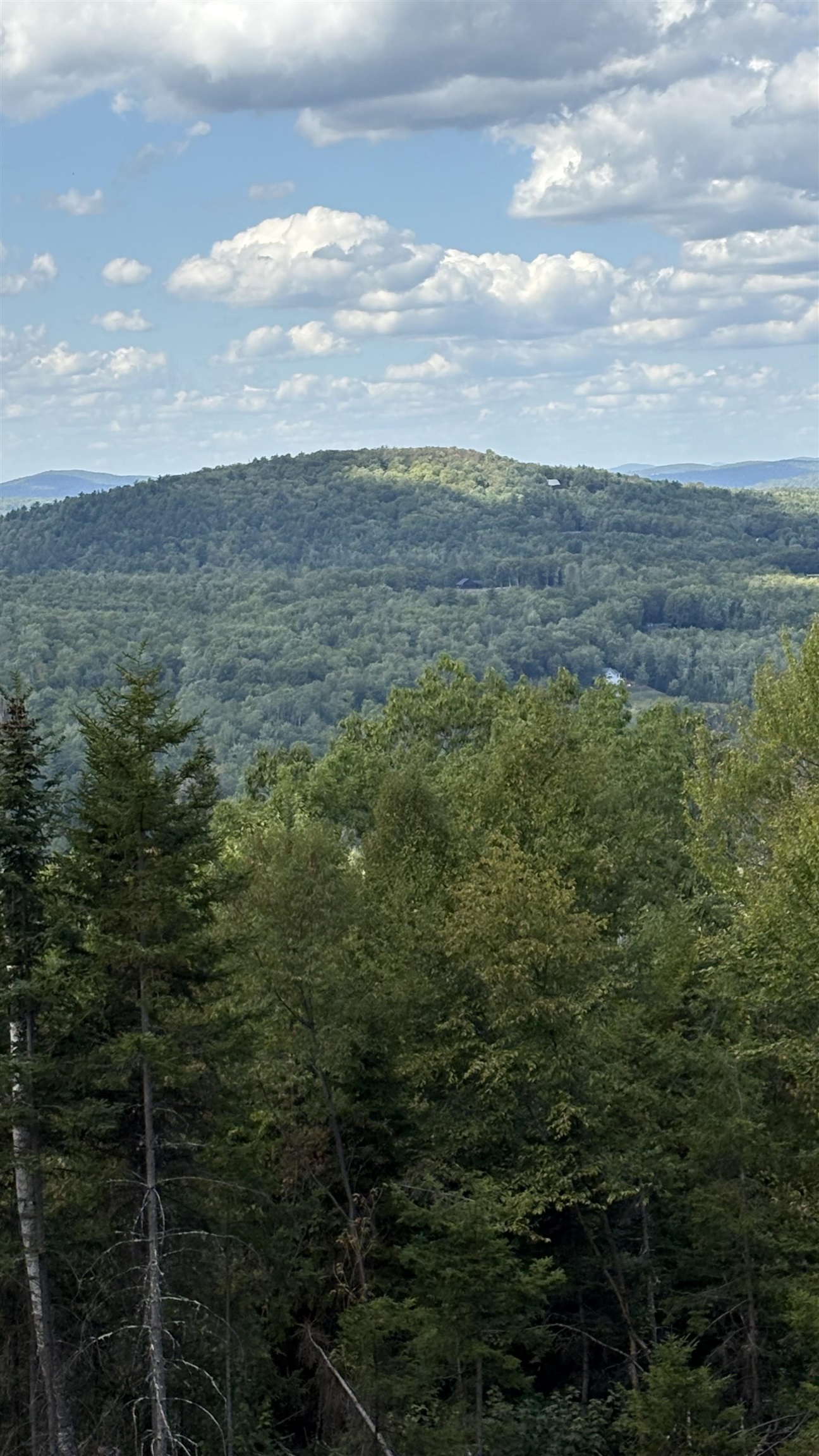 11 Summit Dr, Franconia, NH 03580