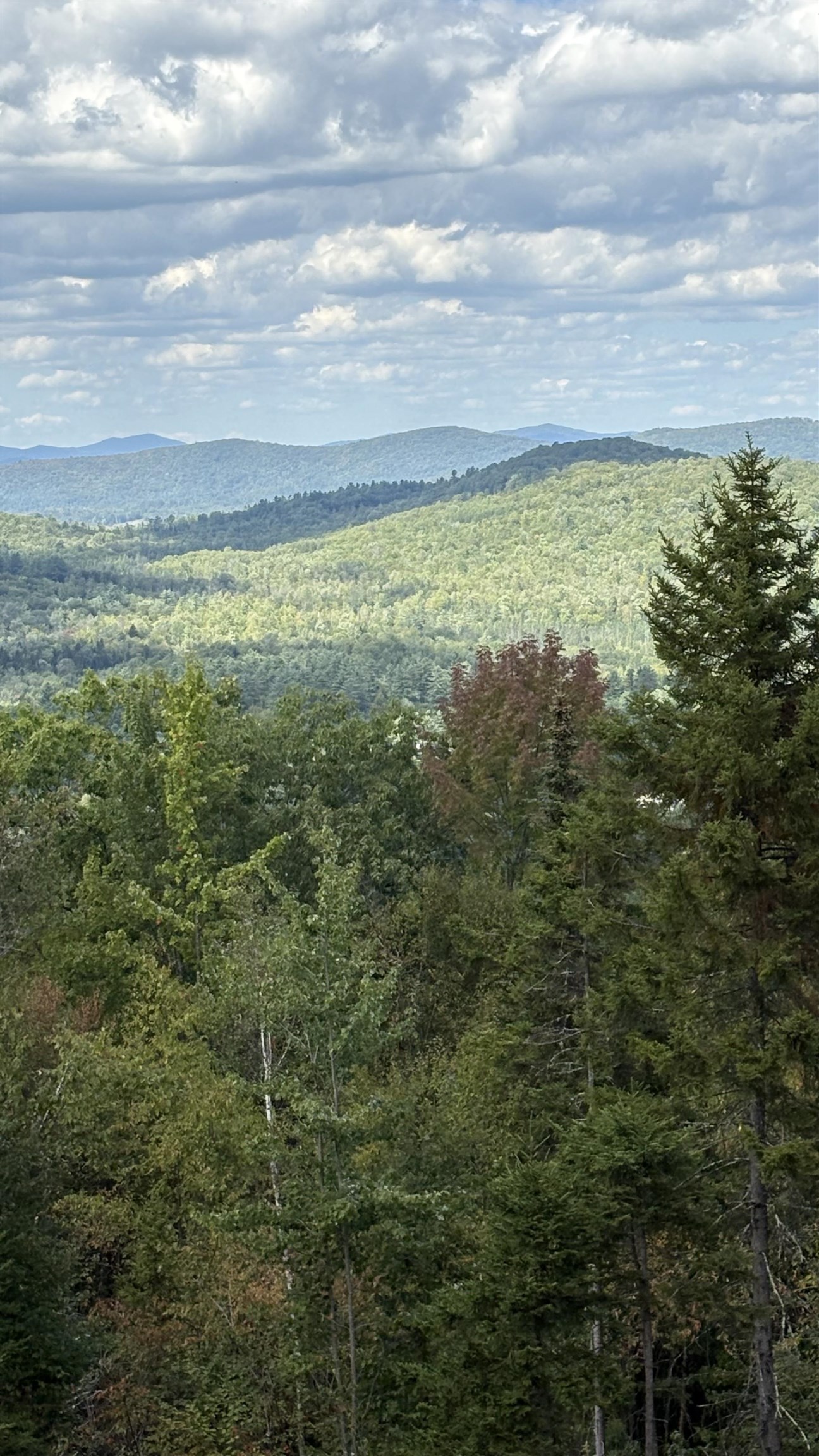 11 Summit Dr, Franconia, NH 03580