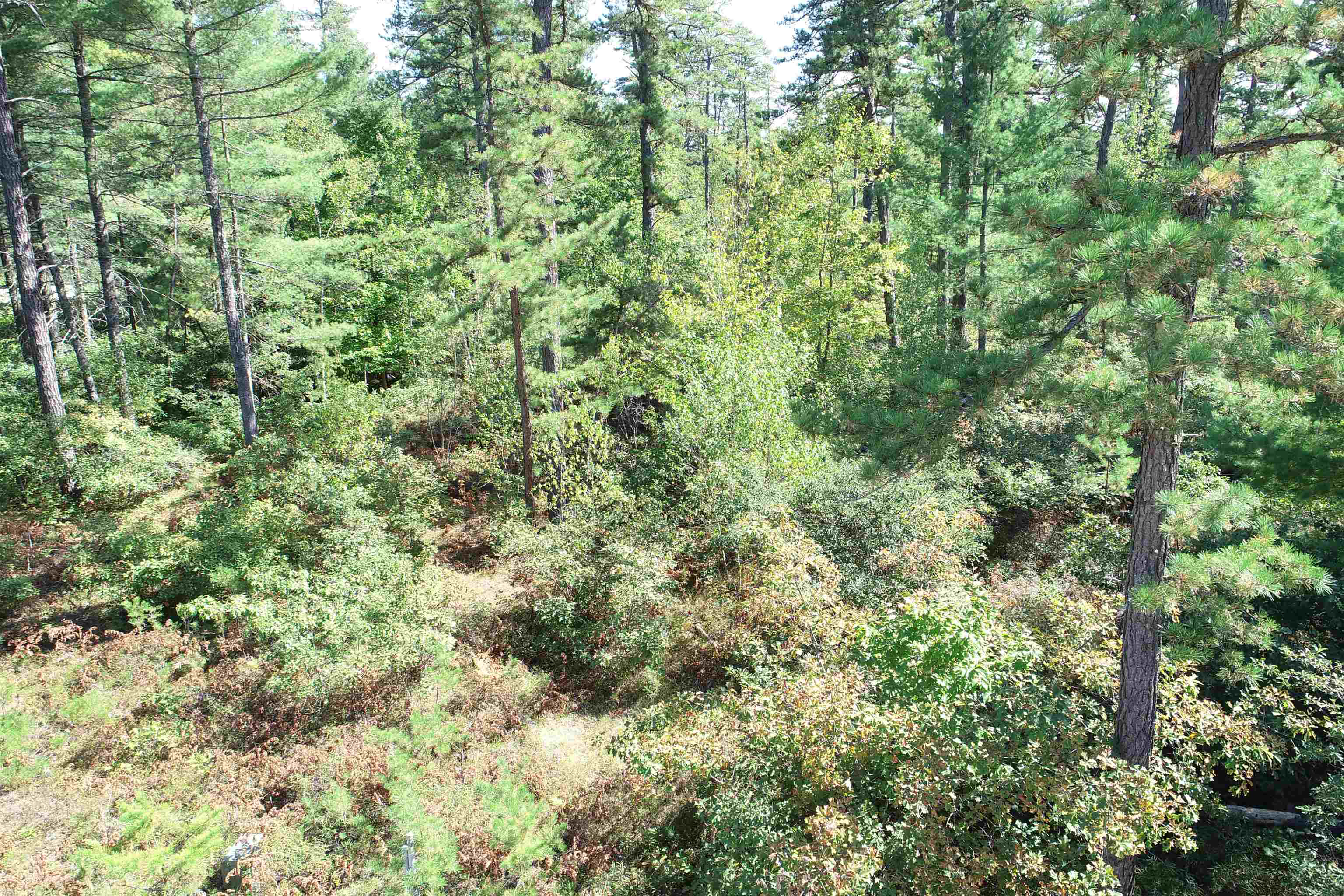 5-11 Friedman Ln, Freedom, NH 03836