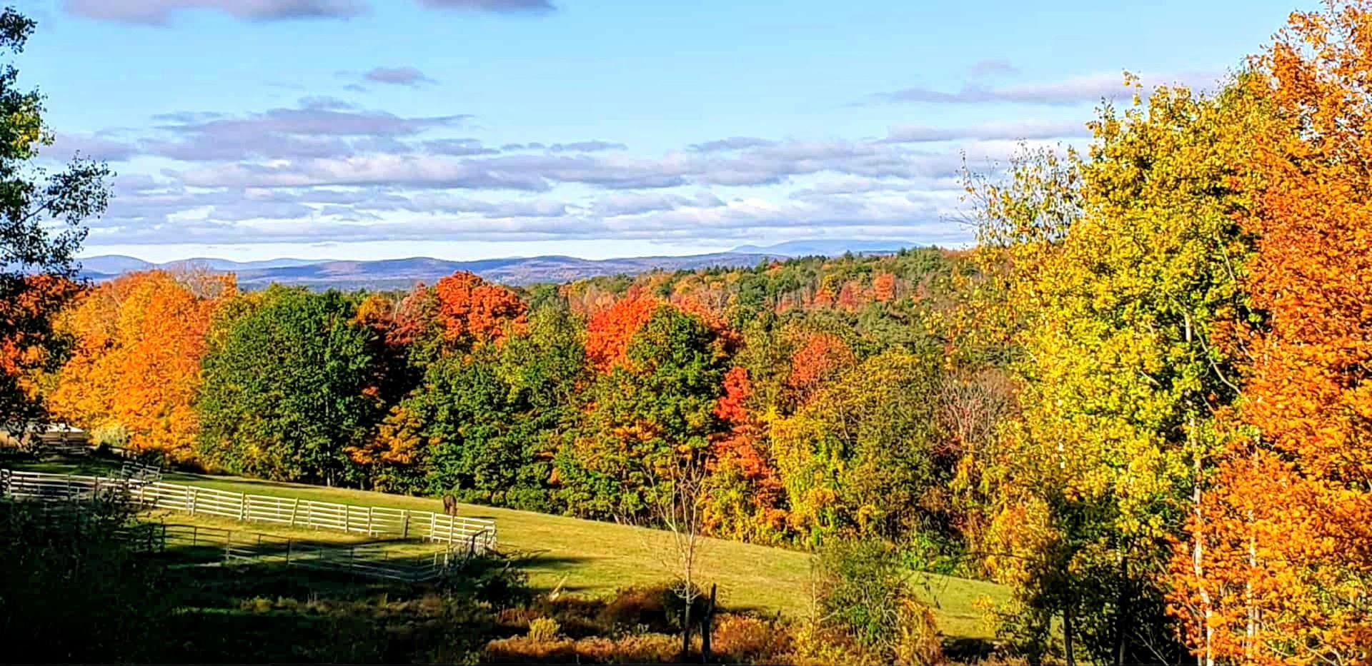 Homes for sale in Walpole, NH | 363 March Hill Rd, Walpole, NH 03608 | MLS# 5061607