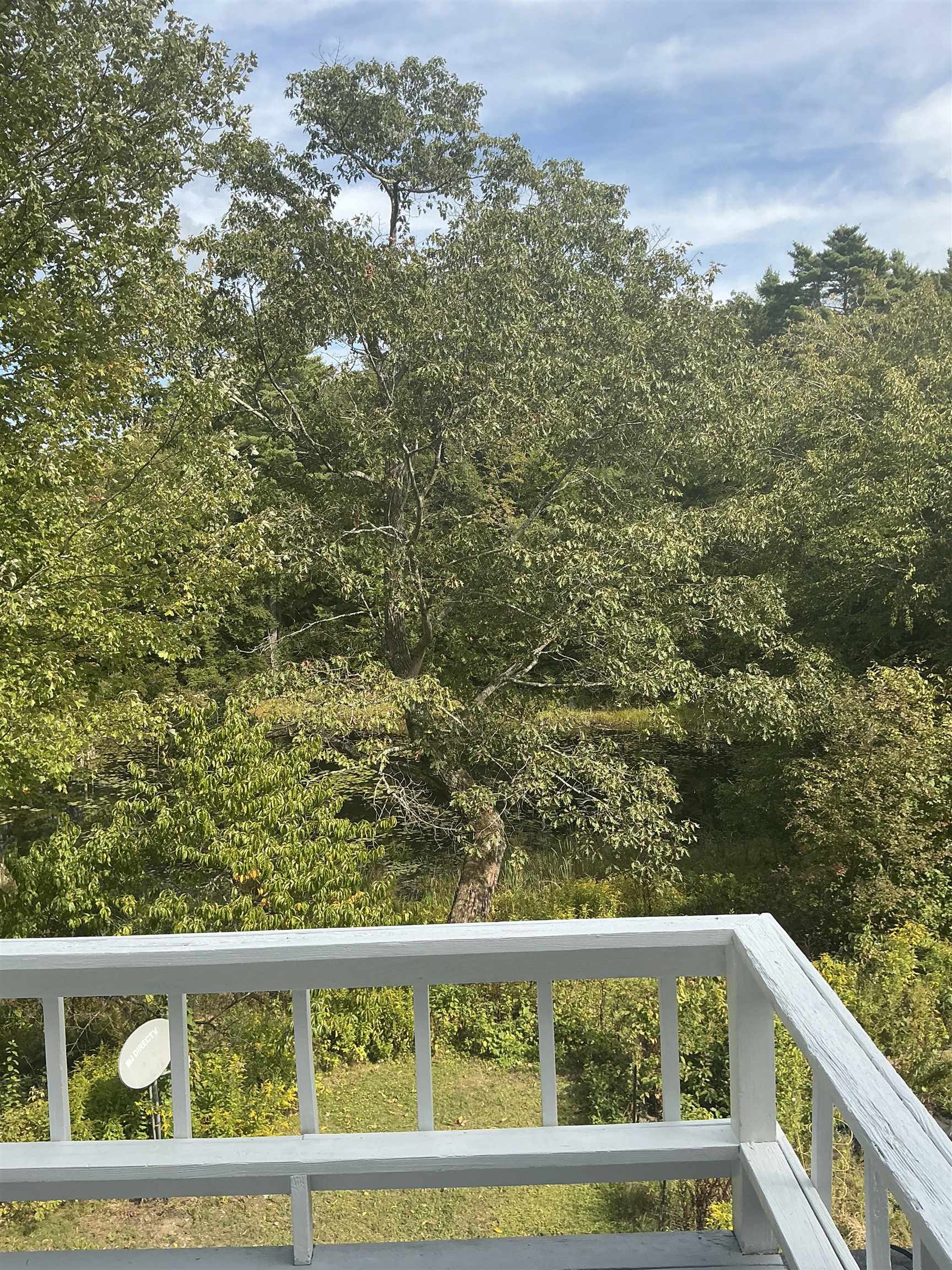 MLS #5061609 image #43