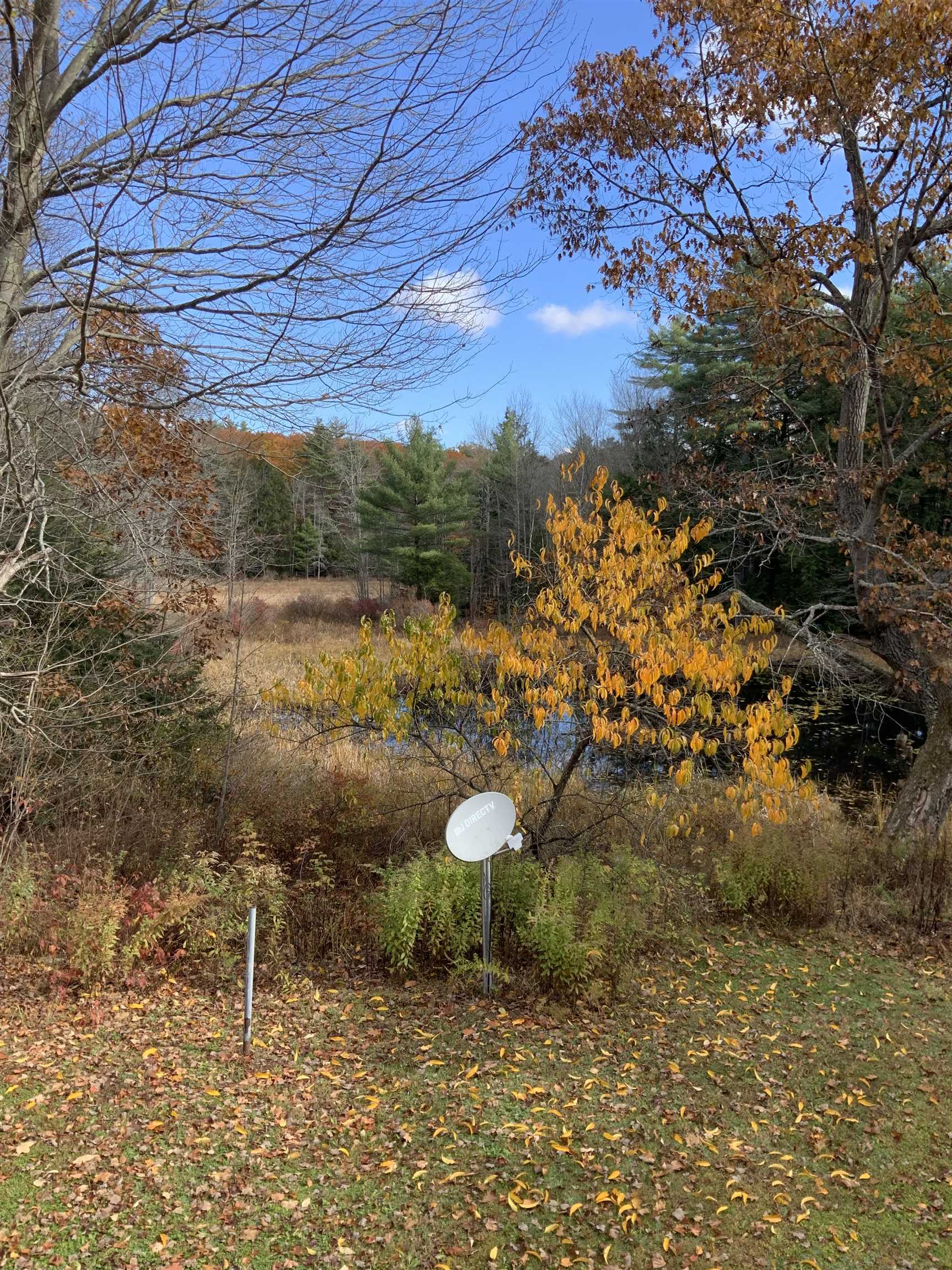 MLS #5061609 image #6