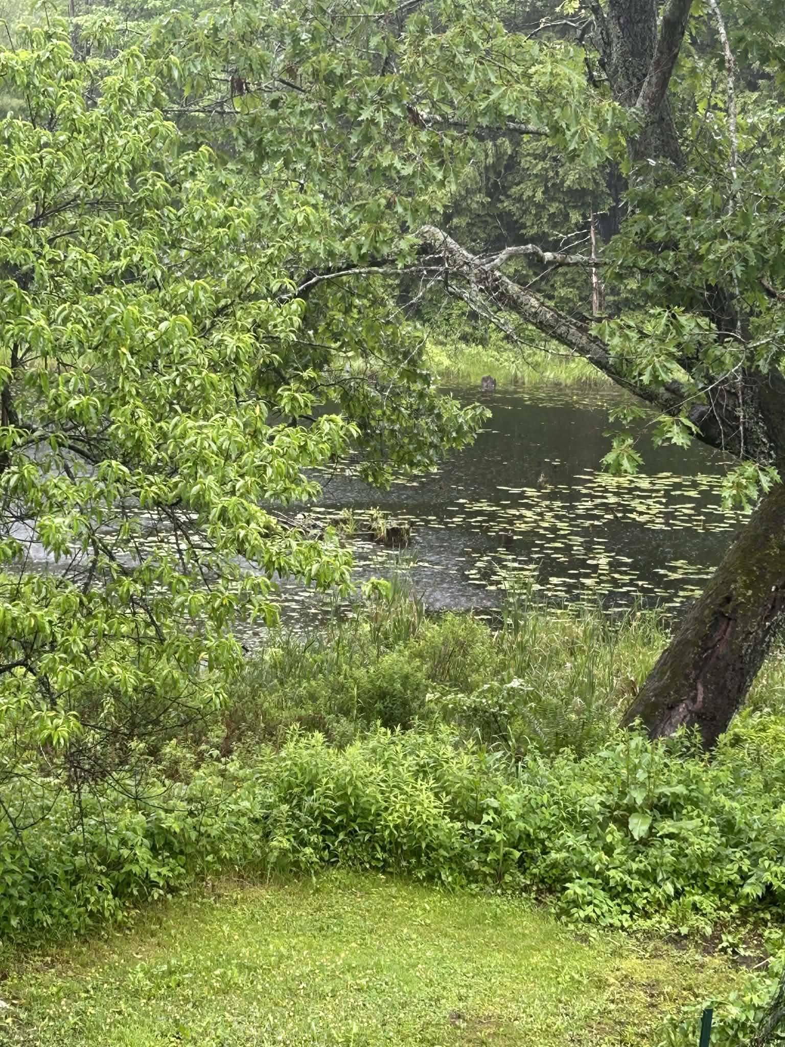 MLS #5061609 image #8