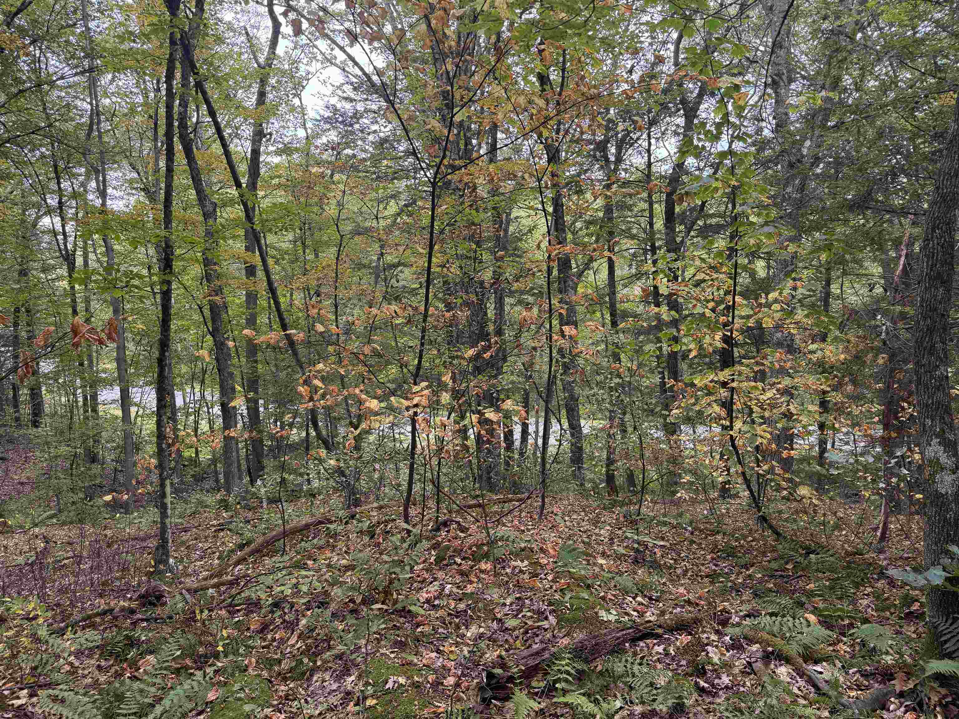 WESTMINSTER VT LAND  for sale $$59,000 | 10.2 Acres  | Price Per Acre $0