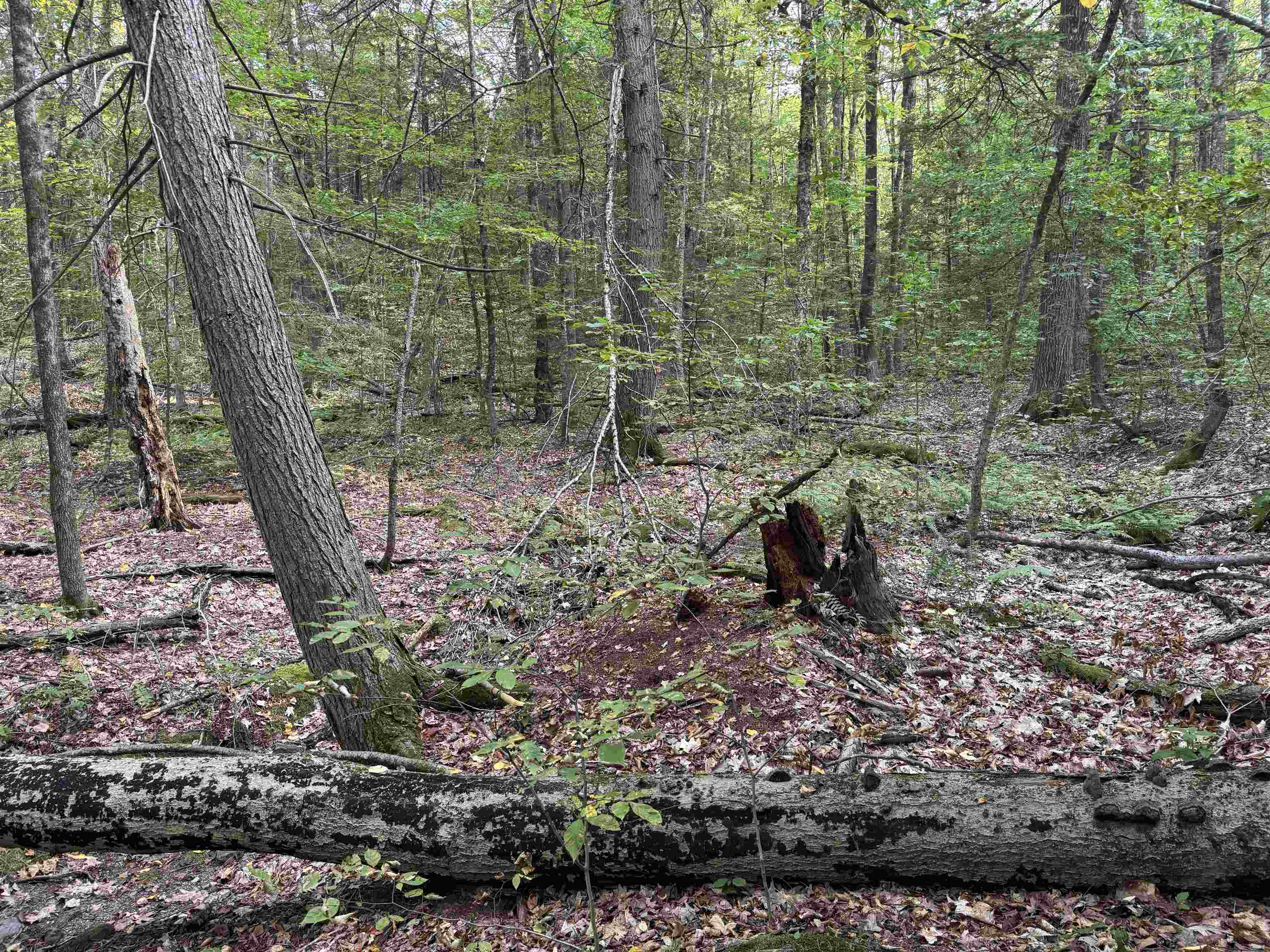 Homes for sale in Westminster, VT | Kurn Hattin Rd, Westminster, VT 05346 | MLS# 5061623