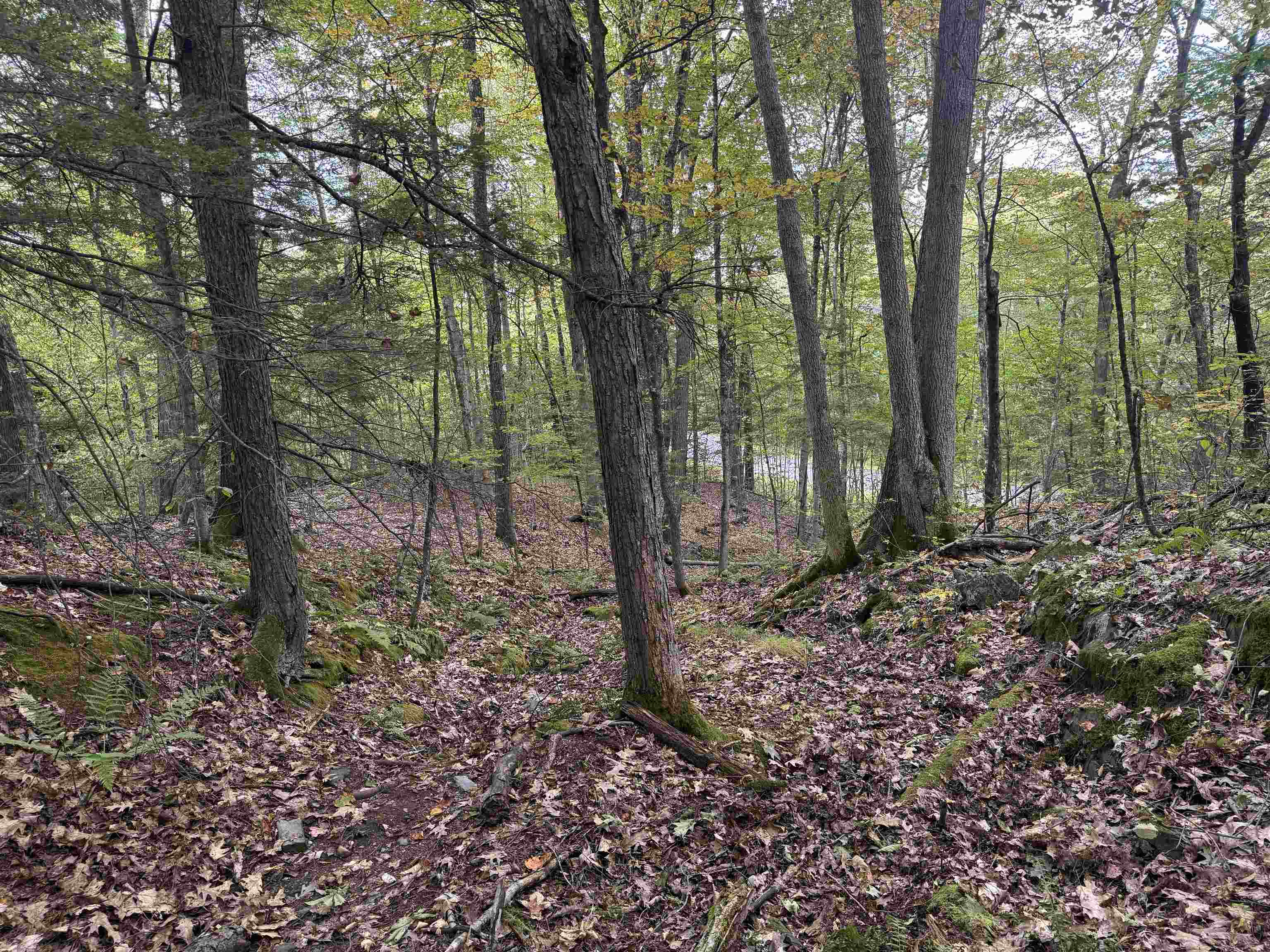 Homes for sale in Westminster, VT | Kurn Hattin Rd, Westminster, VT 05346 | MLS# 5061623