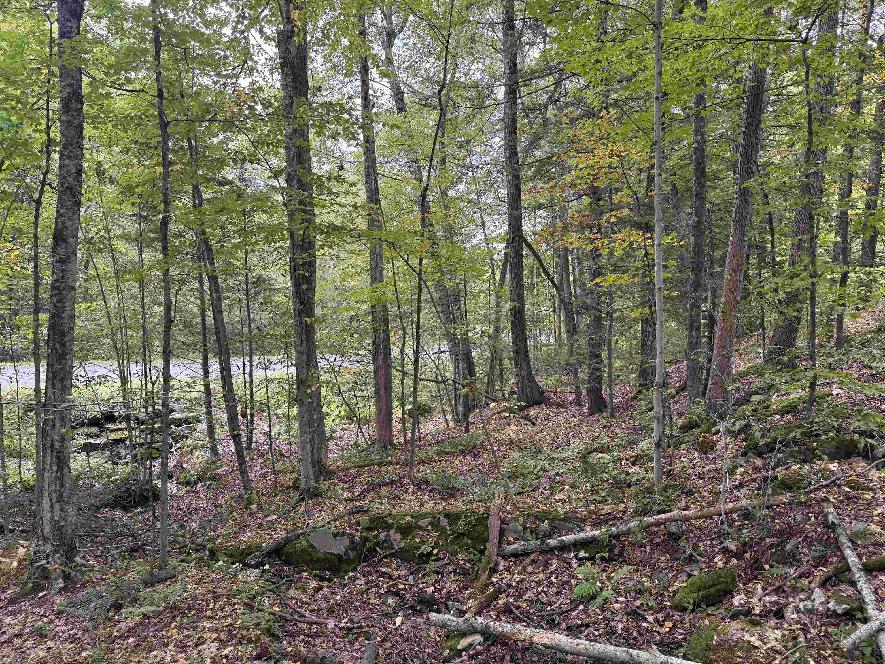 Homes for sale in Westminster, VT | Kurn Hattin Rd, Westminster, VT 05346 | MLS# 5061623