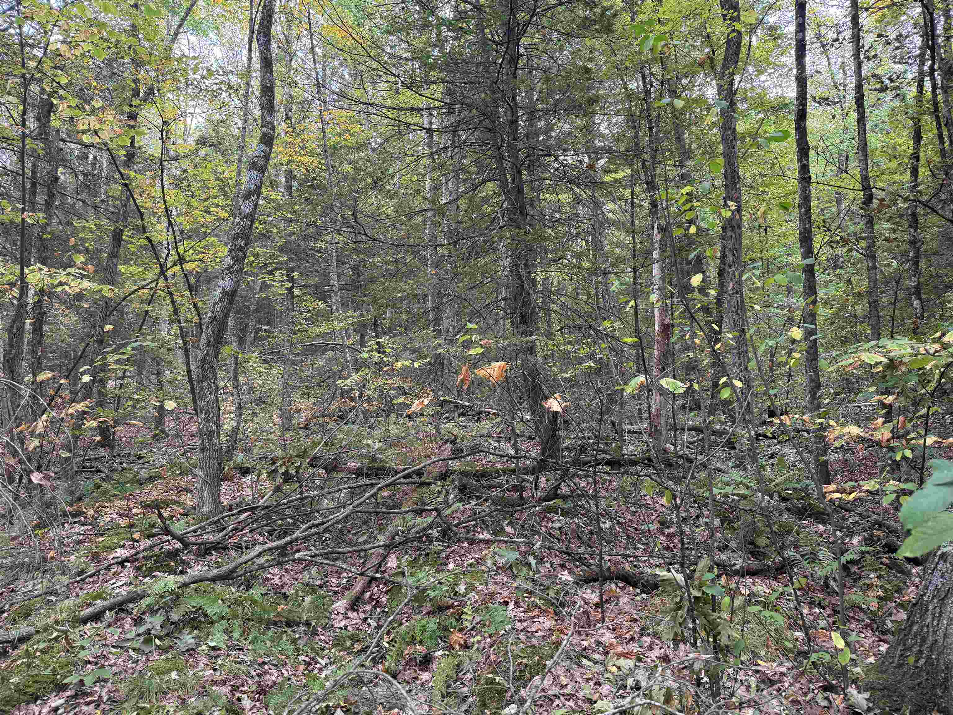 Homes for sale in Westminster, VT | Kurn Hattin Rd, Westminster, VT 05346 | MLS# 5061623