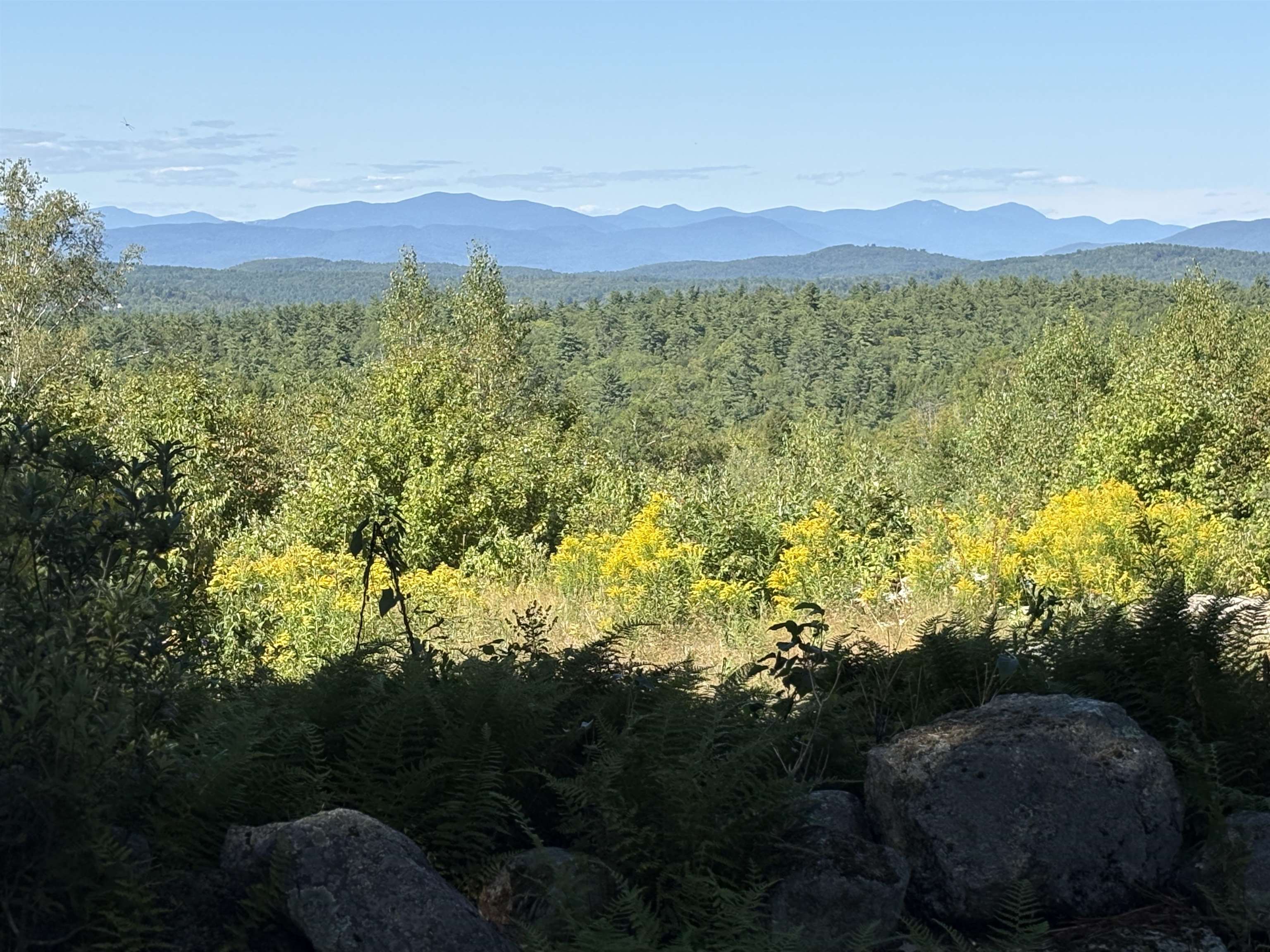 MLS #5061634 image #1