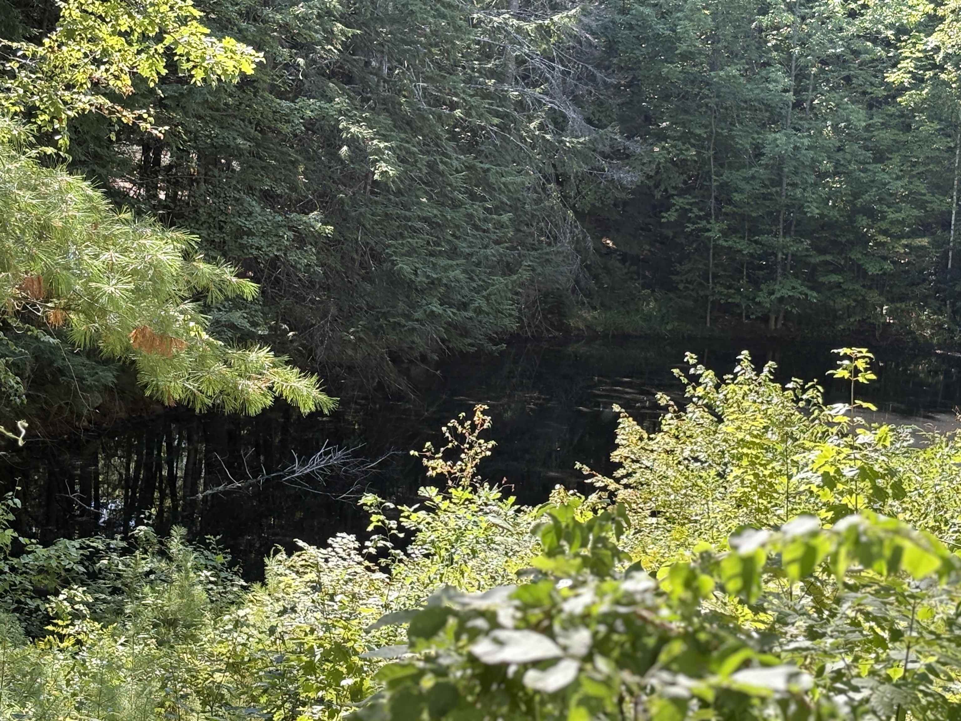 MLS #5061634 image #33