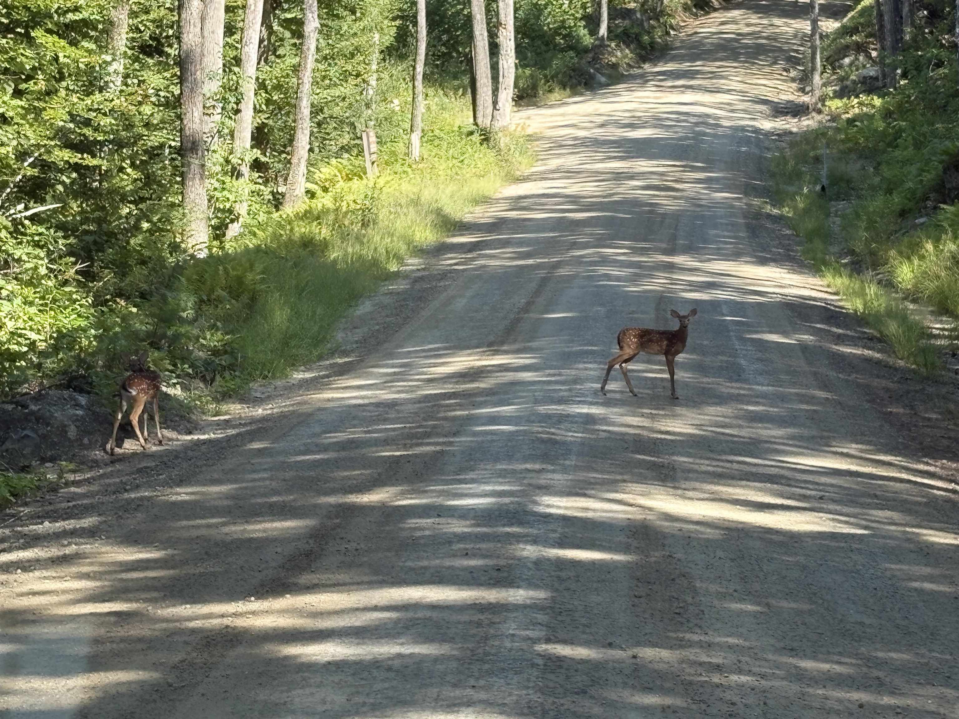 MLS #5061634 image #41