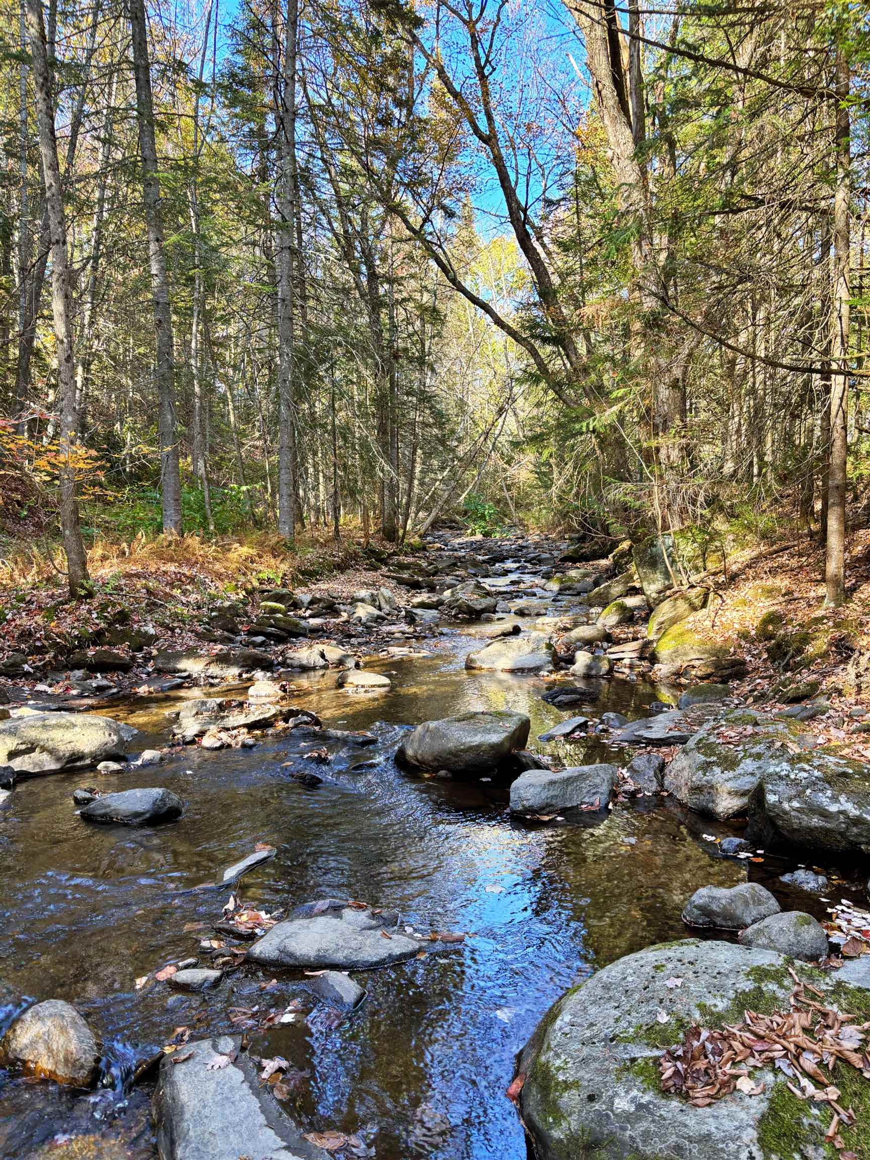 Homes for sale in Jay, VT | 3041 Cross Rd, Jay, VT 05859 | MLS# 5061644