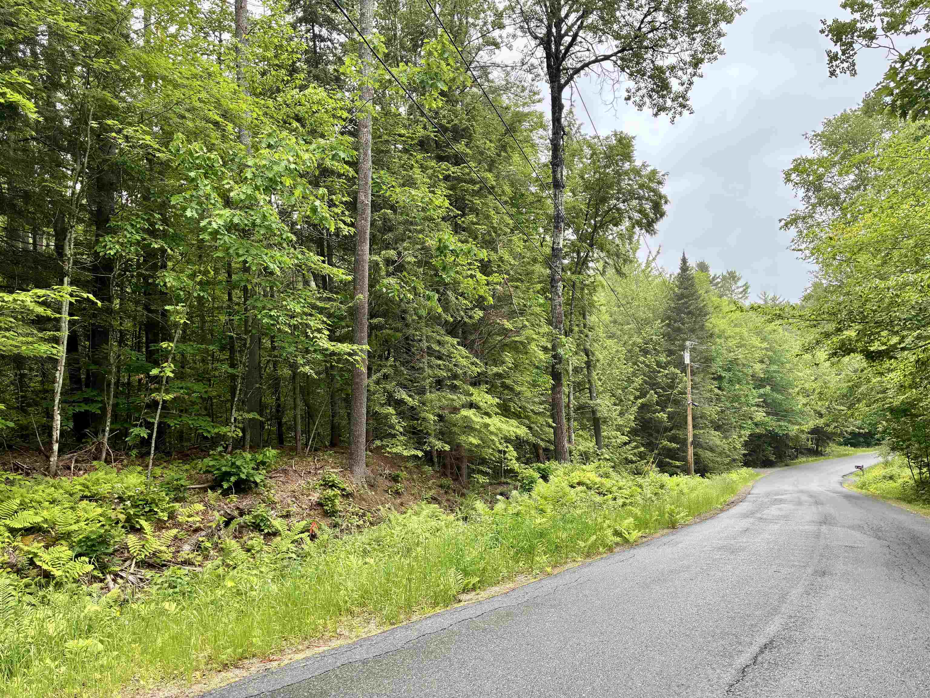 Lot 6 North Skinny Ridge Rd, Littleton, NH 03561