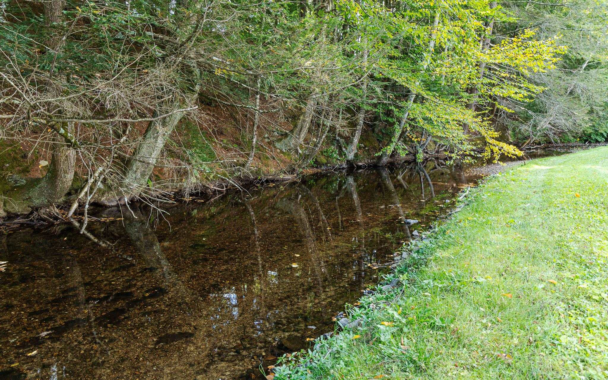 MLS #5061669 image #32