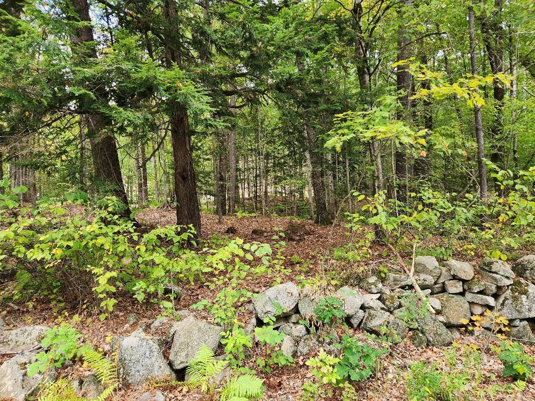 MLS #5061831 image #9