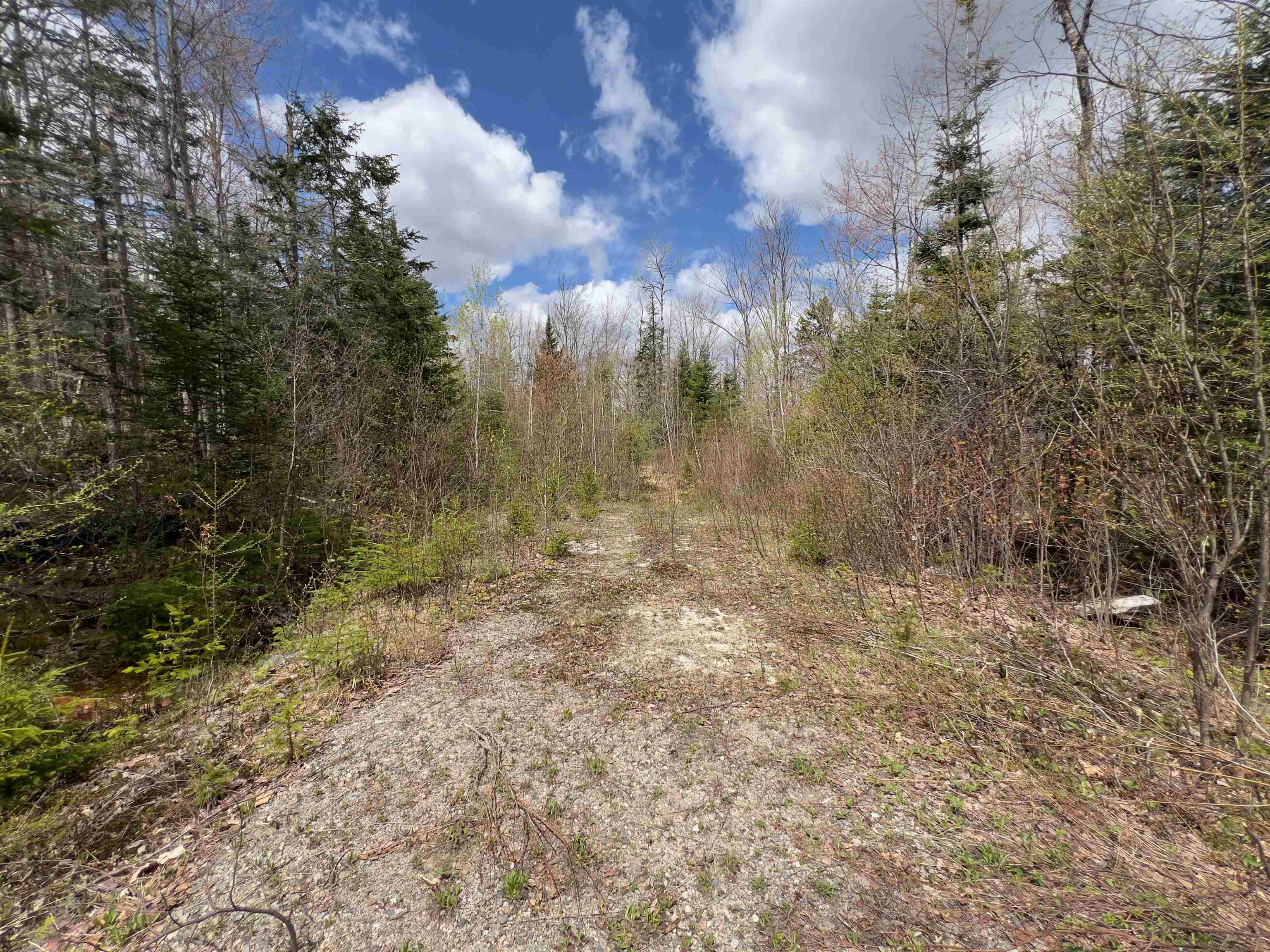 0 Chipper Ln, Milan, NH 03588