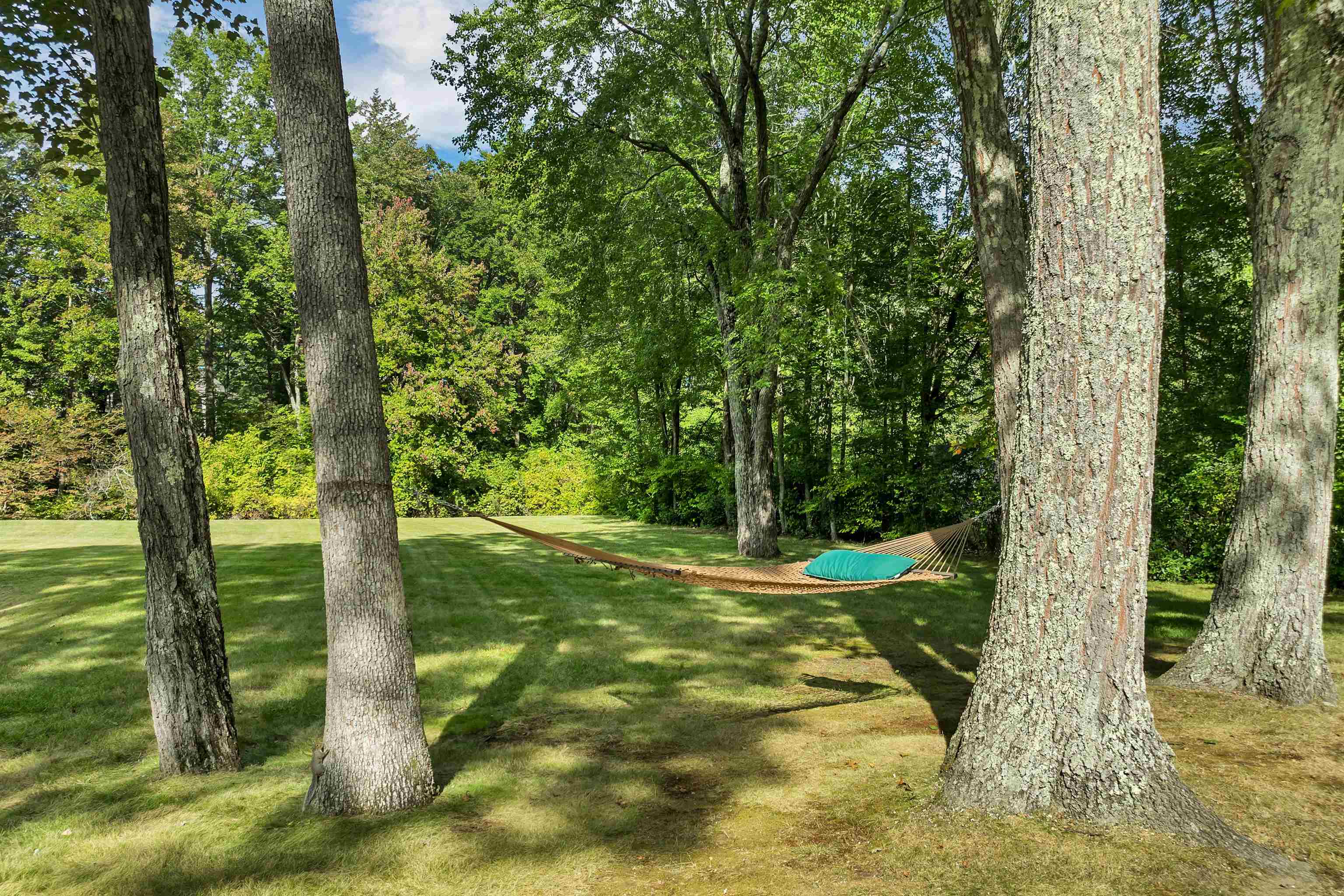 MLS #5061976 image #18