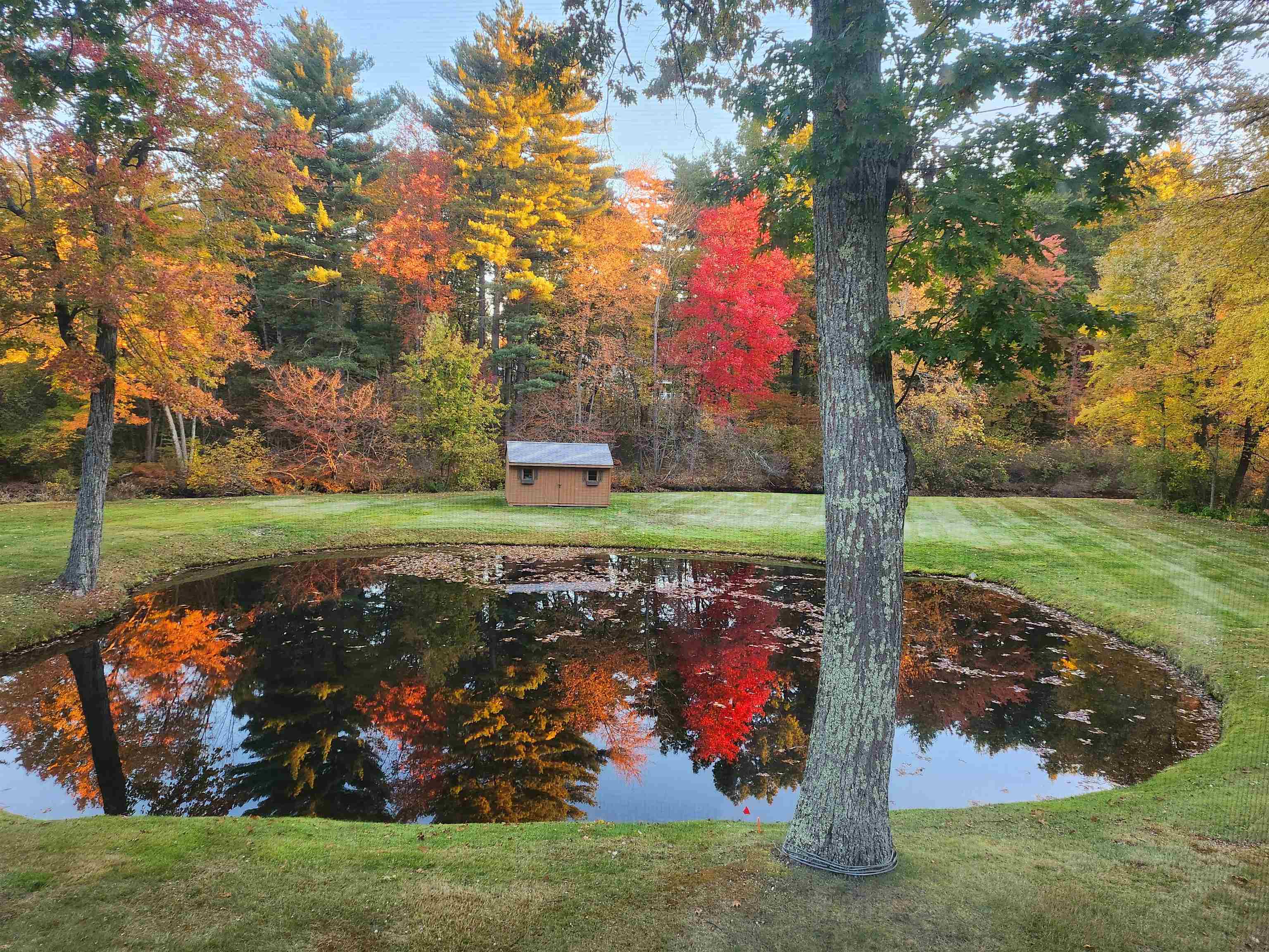 MLS #5061976 image #59