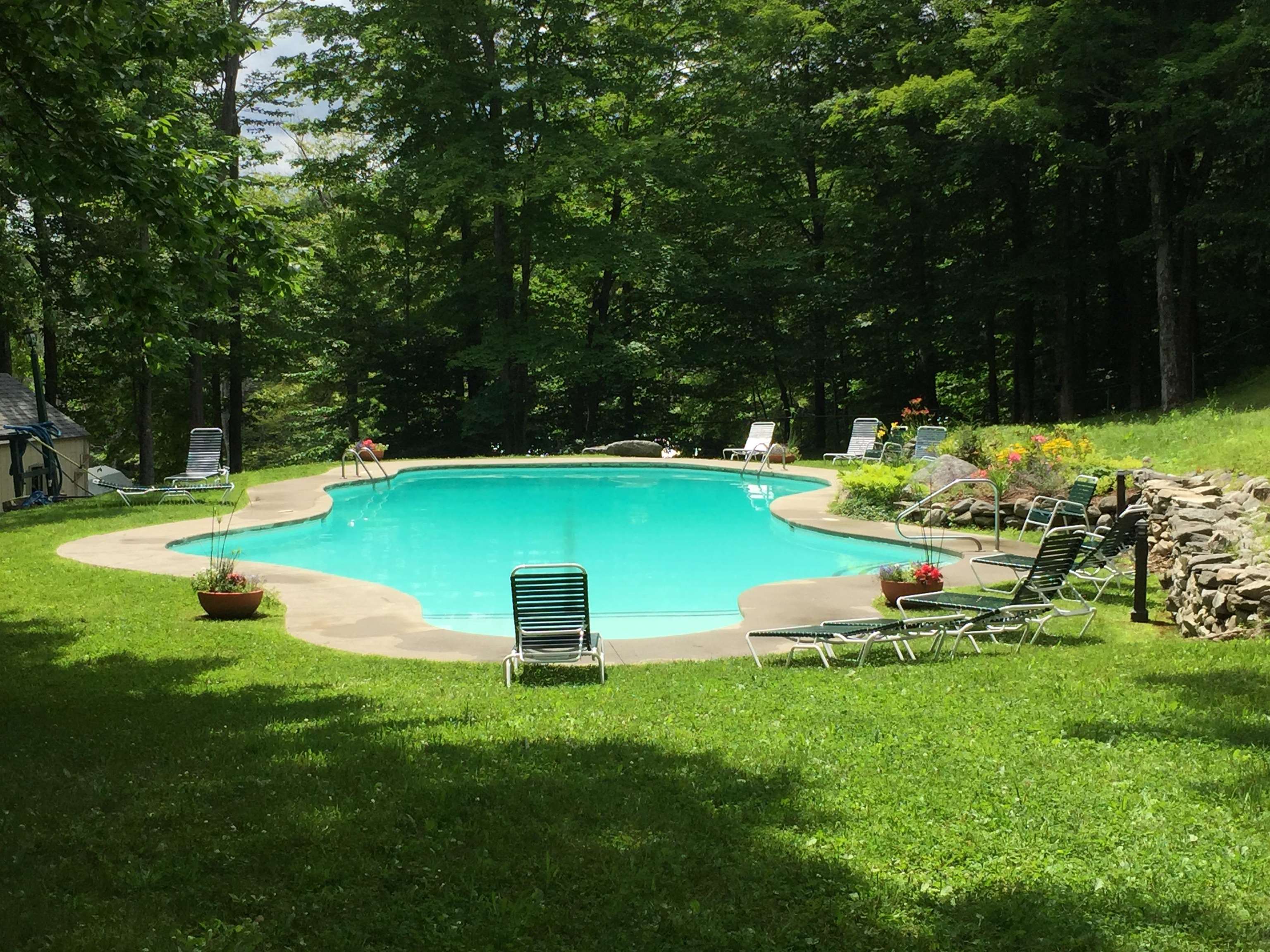 Trailside pool 24099268