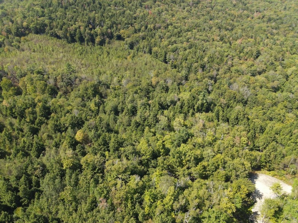 4 Seven Sisters Cir, Campton, NH 03223