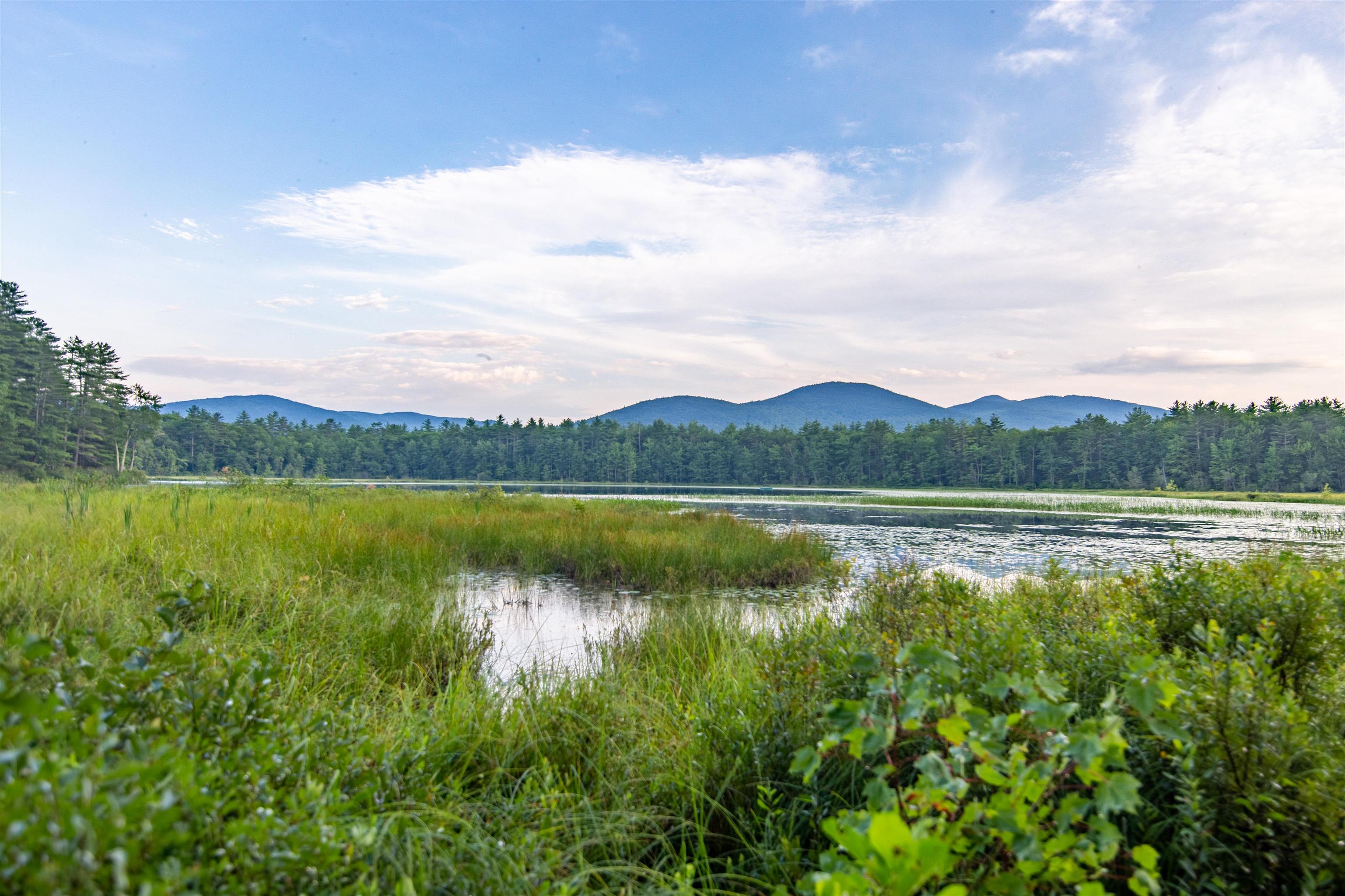 MLS #5062100 image #3