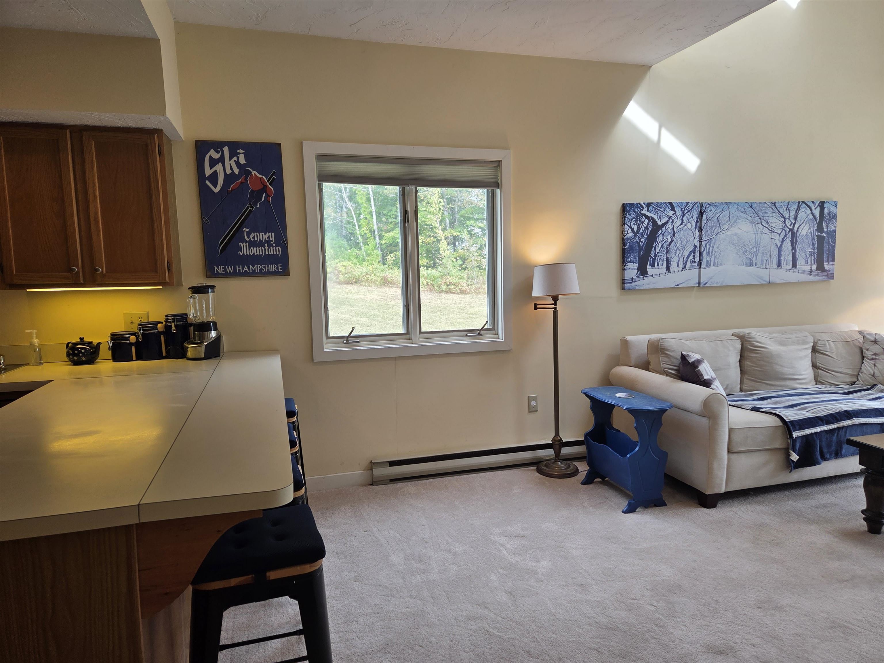 MLS #5062167 image #24