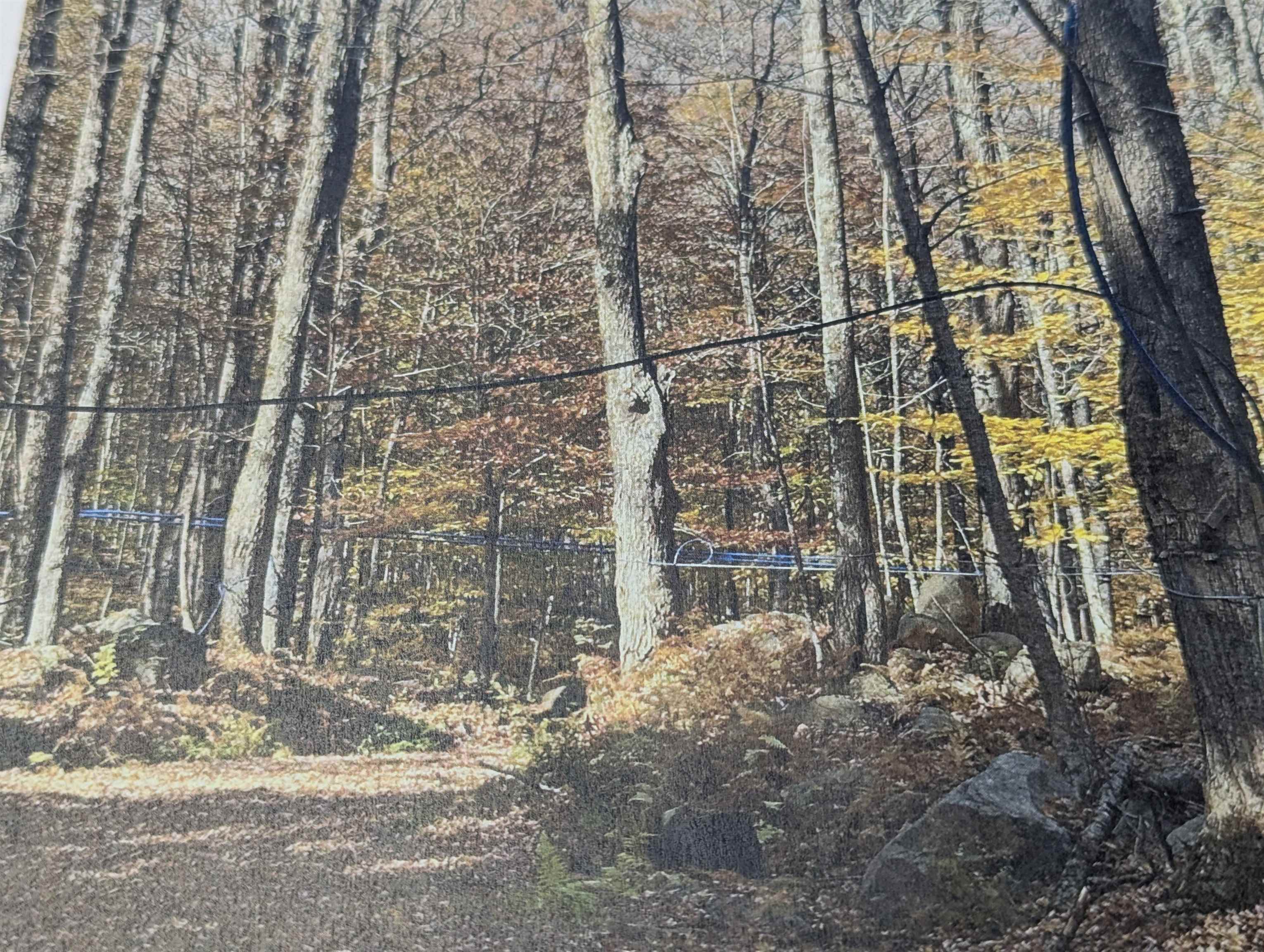 WEATHERSFIELD VT LAND  for sale $$399,900 | 108 Acres  | Price Per Acre $0