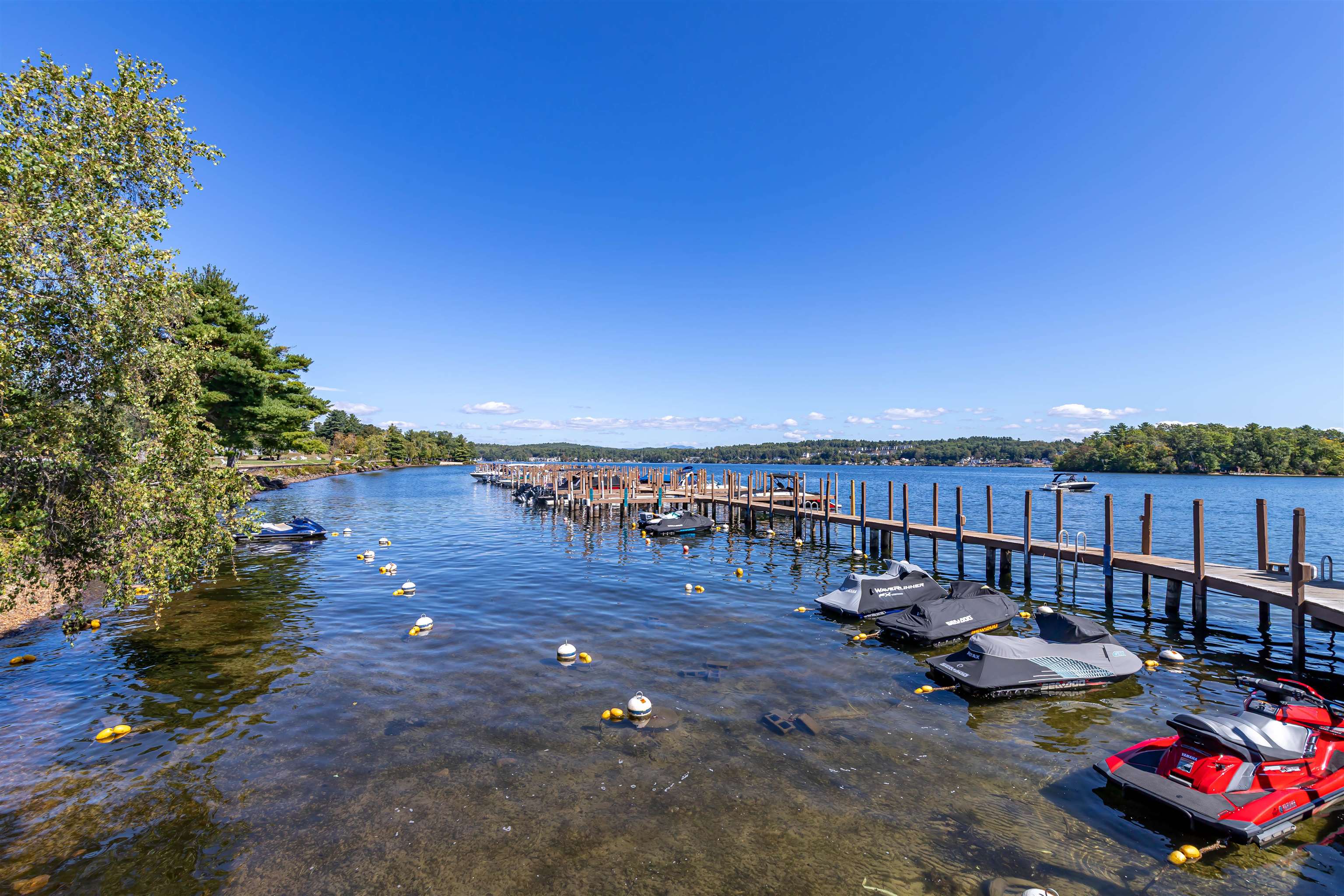 MLS #5062219 image #6