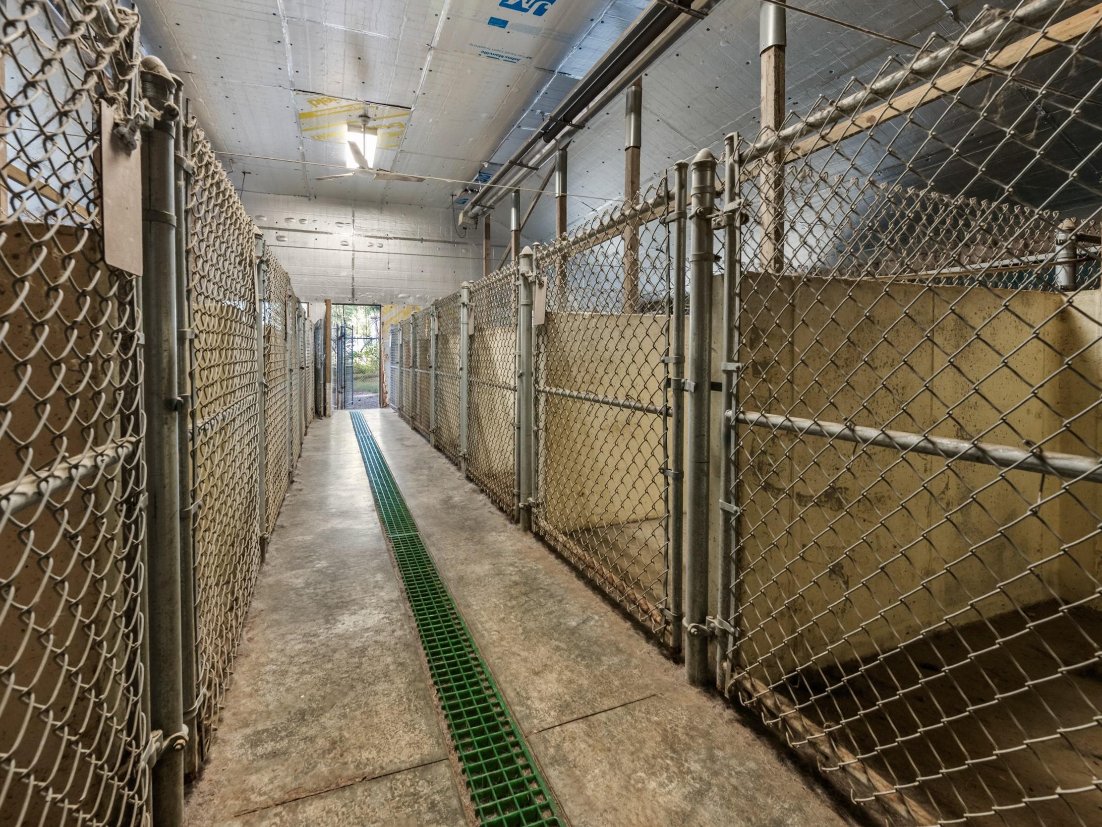 MLS #5062258 image #22